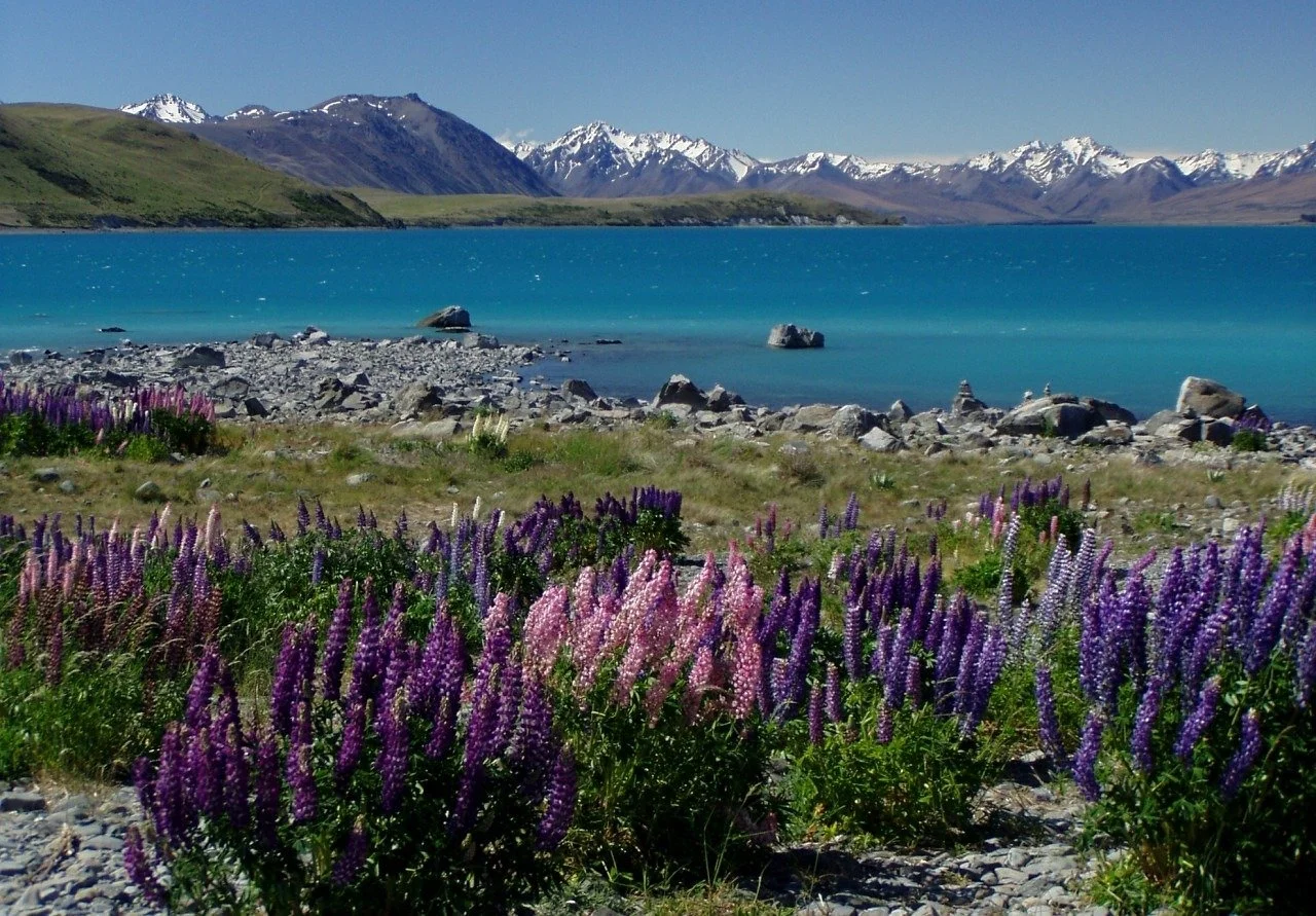 NZ at a climate change turning point