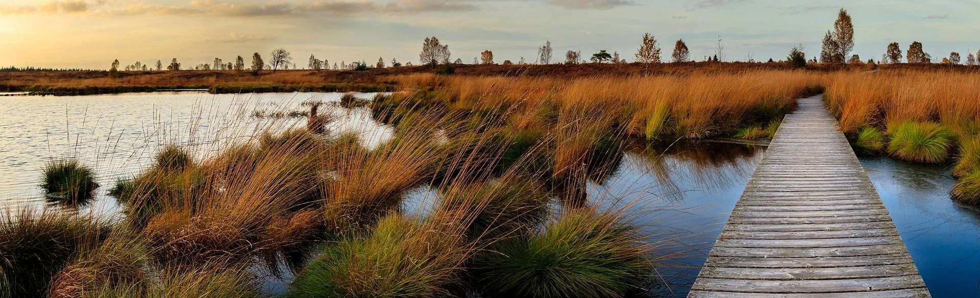 Irrecoverable carbon and protecting the ecosystems that store it