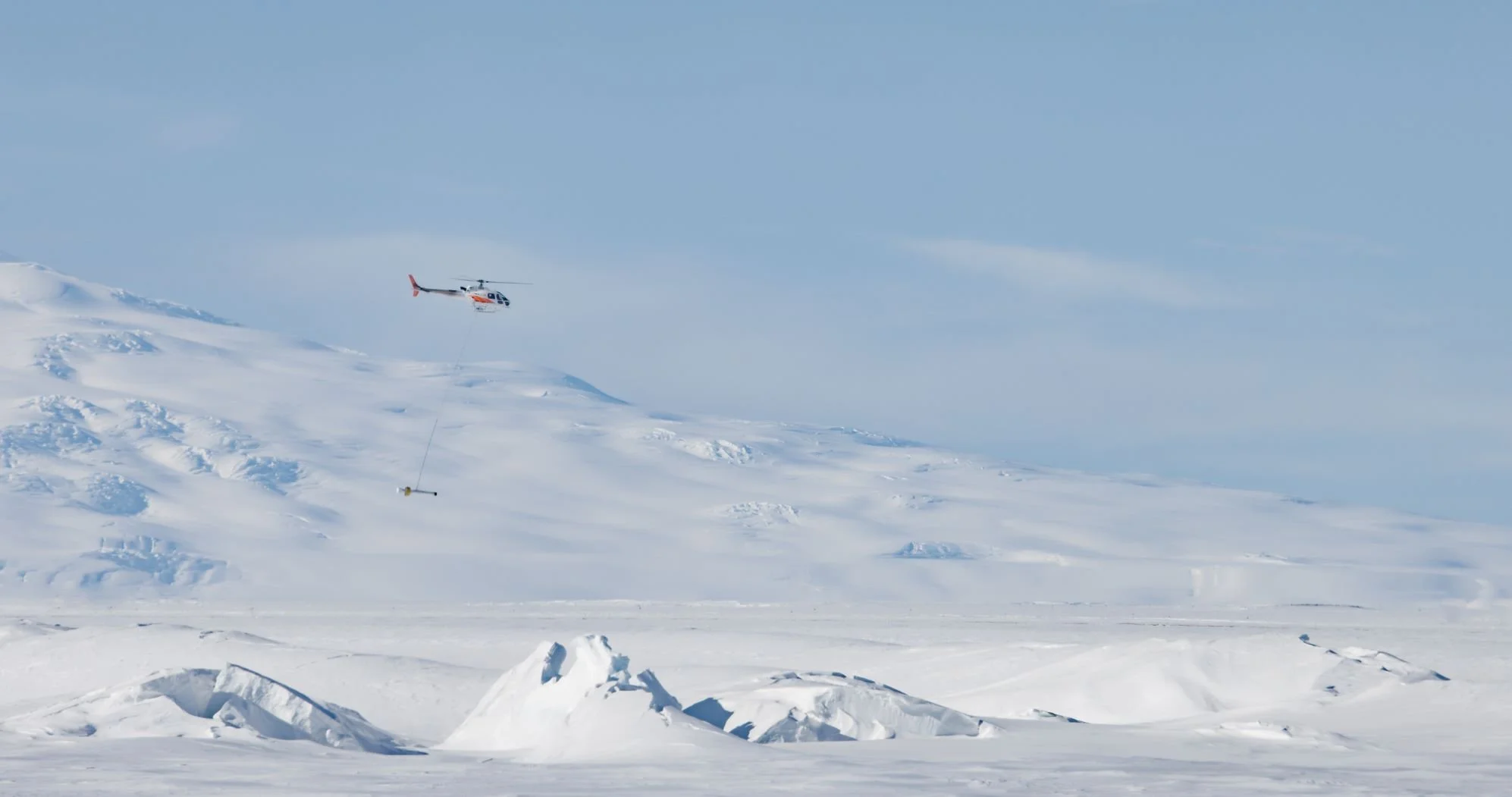 Bird measures Antarctic ice thickness
