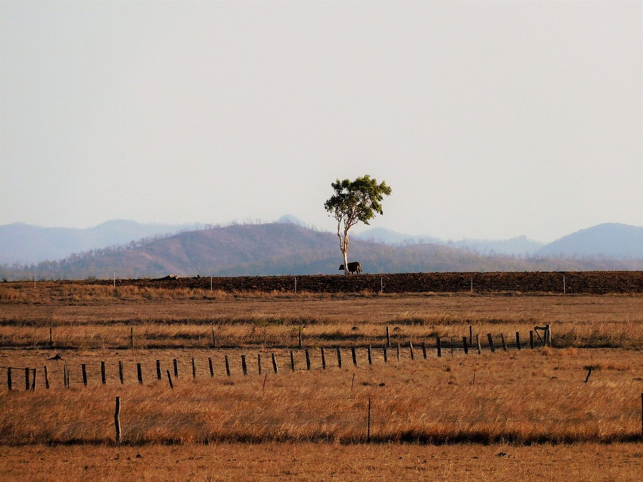 Forecasting future droughts for NZ farmers