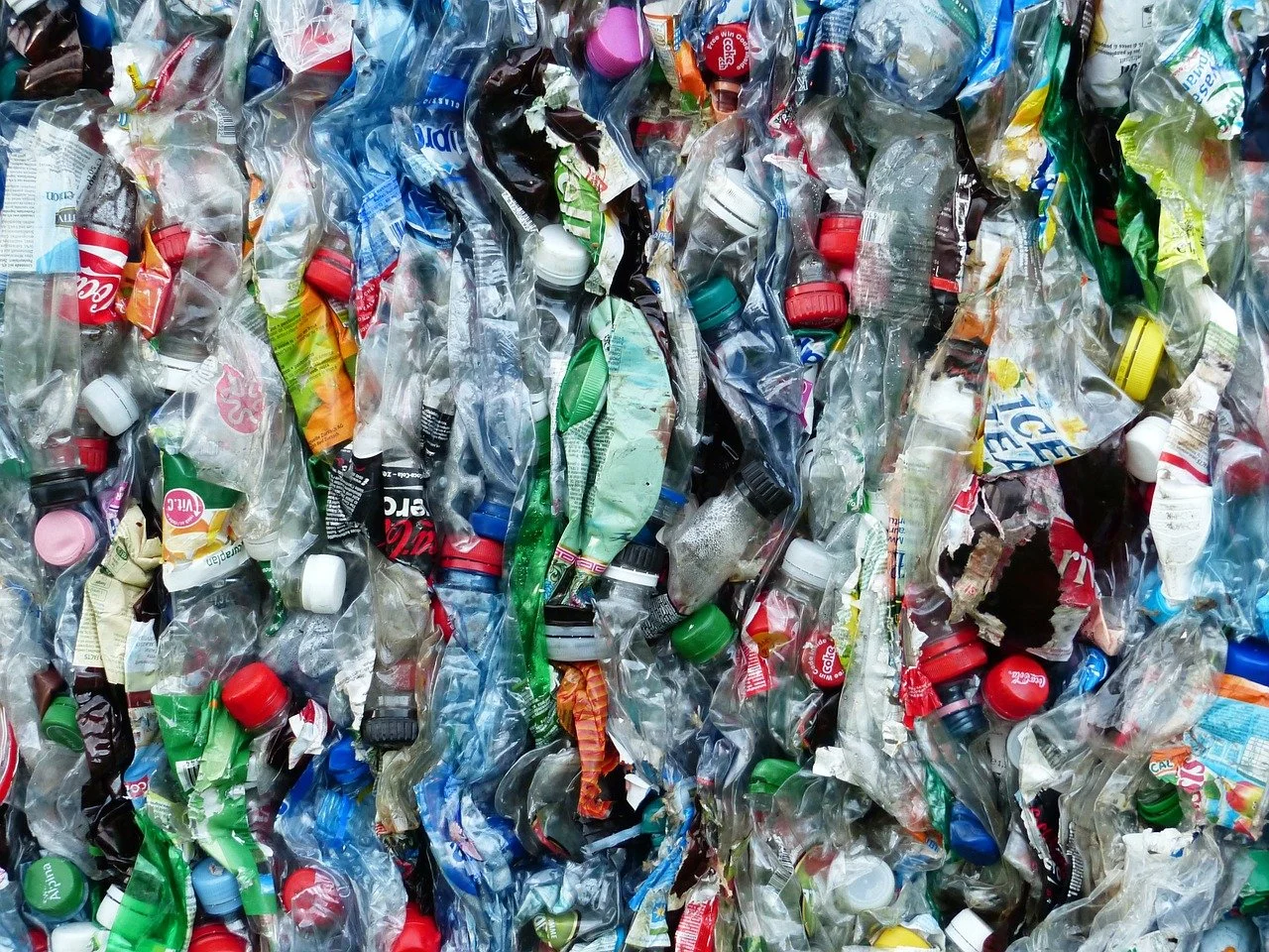 ...And what's the real toll of plastics on the environment?