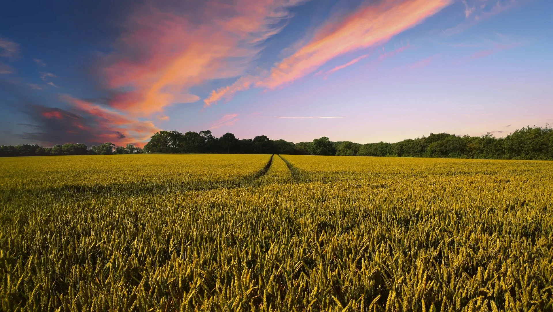Climate change solutions needed in agriculture