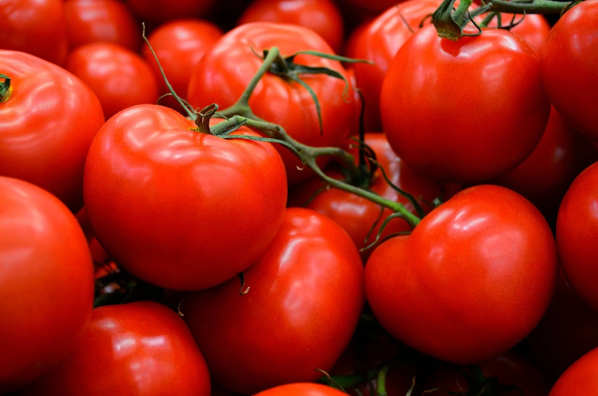 Annual food price increase the highest in a decade