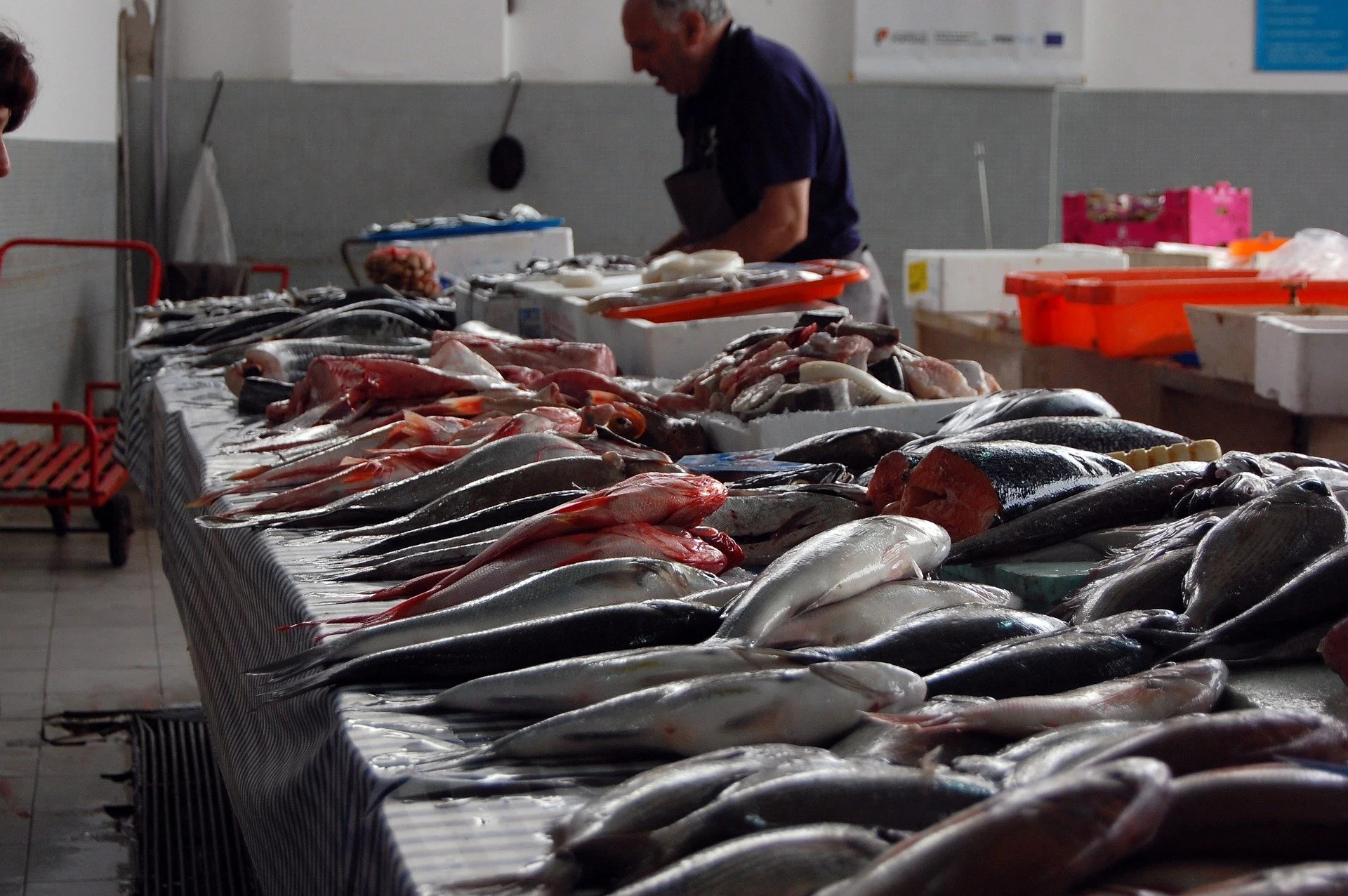 Eating more fish fats, less vegetable oils can reduce migraine headaches