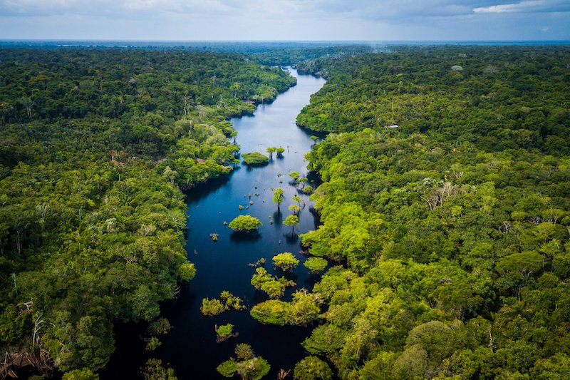 Amazon rainforest is losing resilience, ew evidence 
