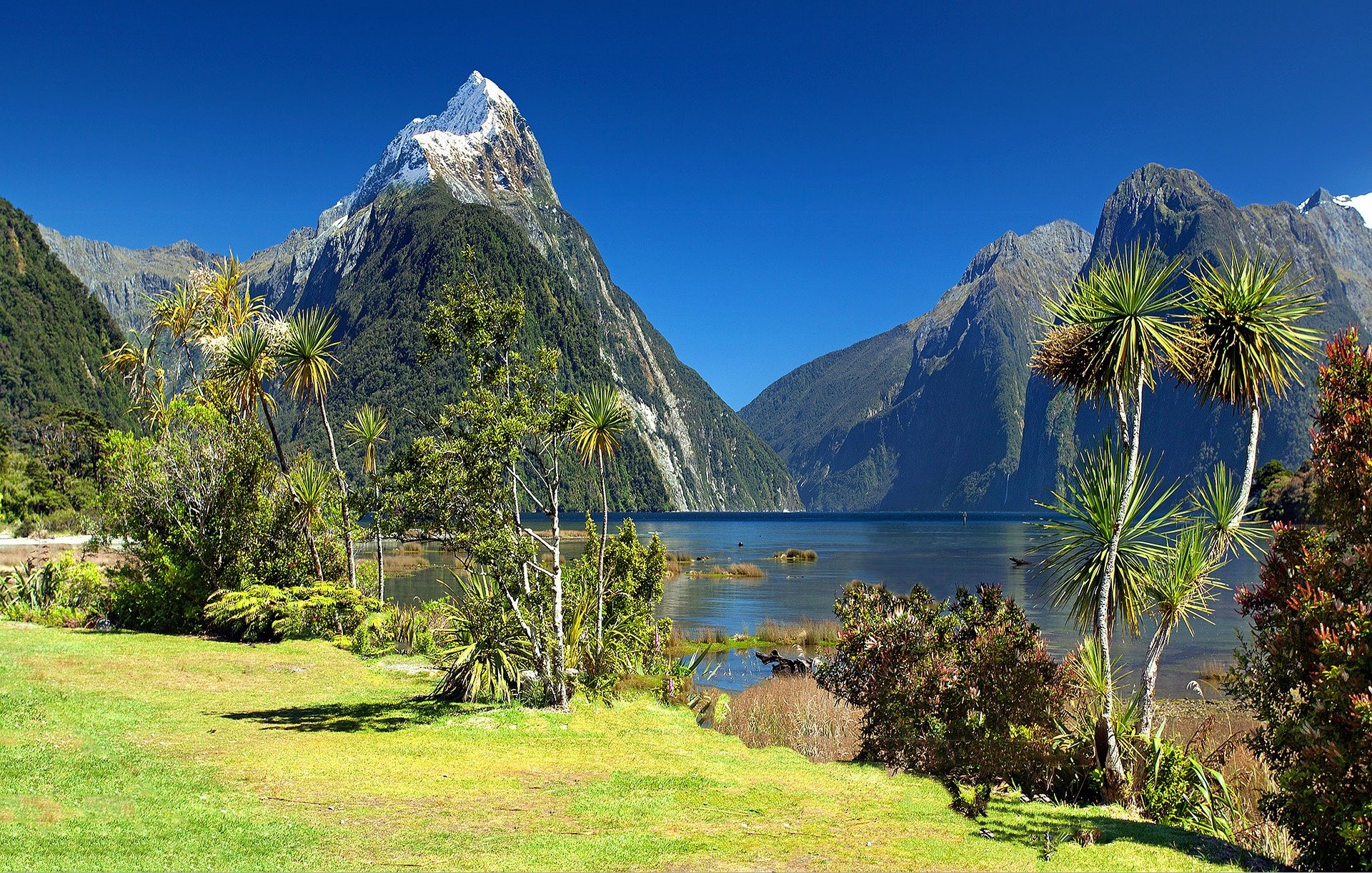Aotearoa’s state of the environment not so good - report 