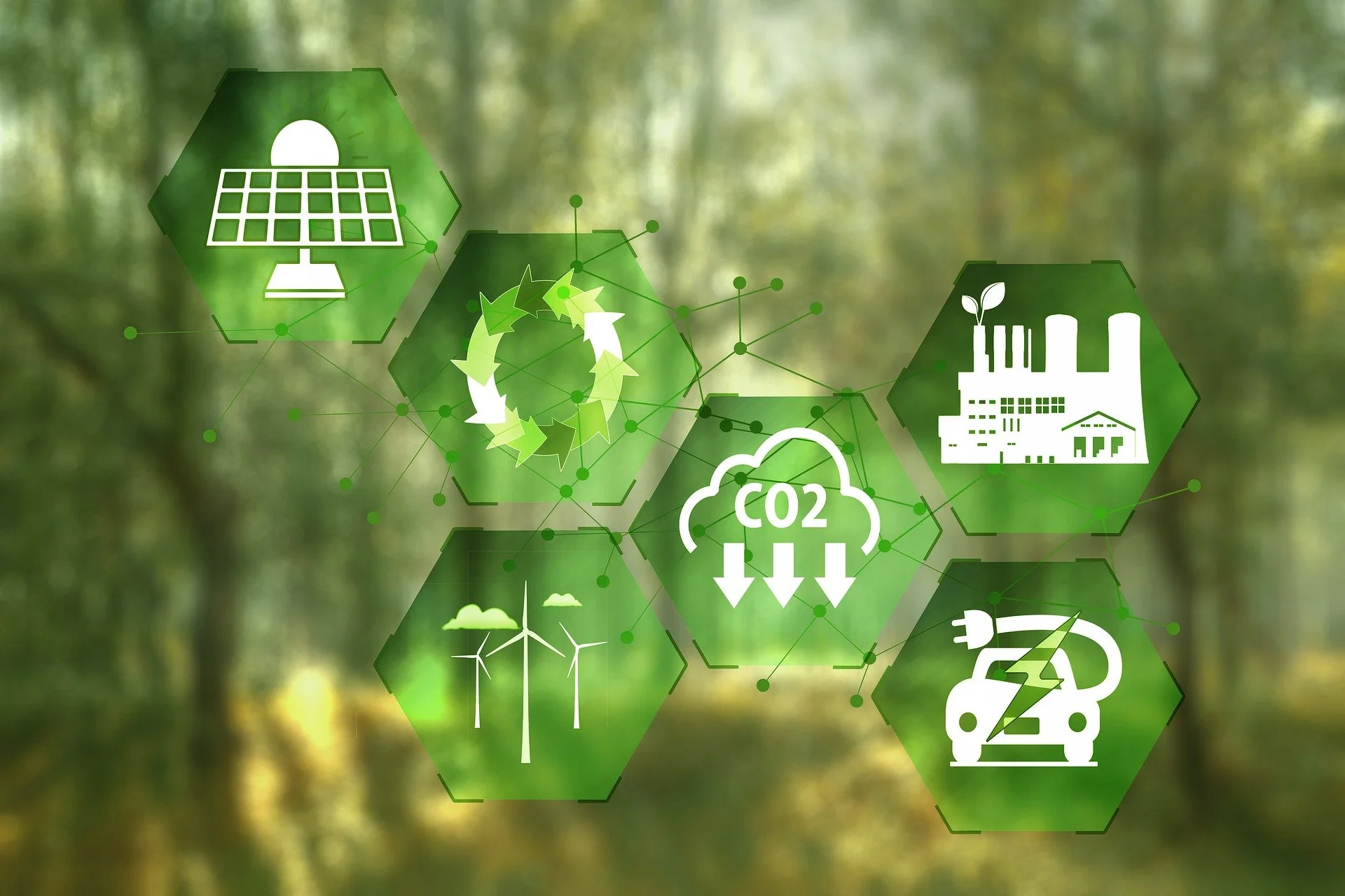 Landmark climate plan heads NZ toward net zero 
