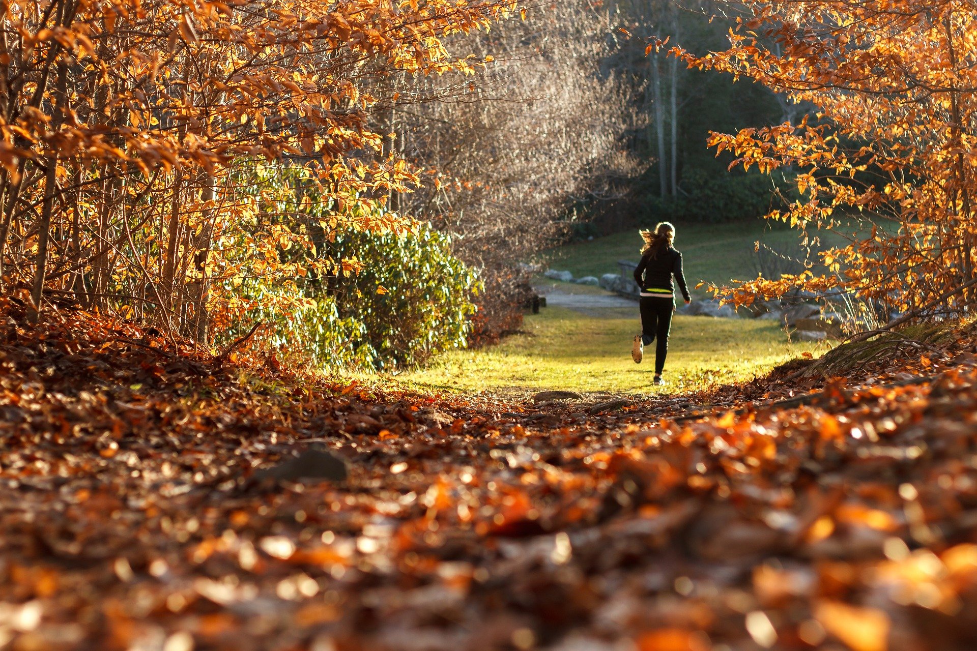 Early morning or night best times to exercise