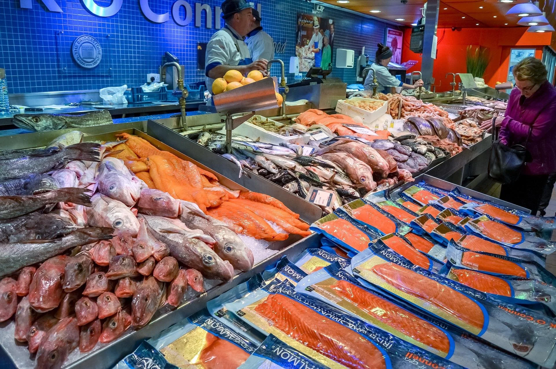 Millions of salmon reportedly dying annually on Aotearoa’s farms