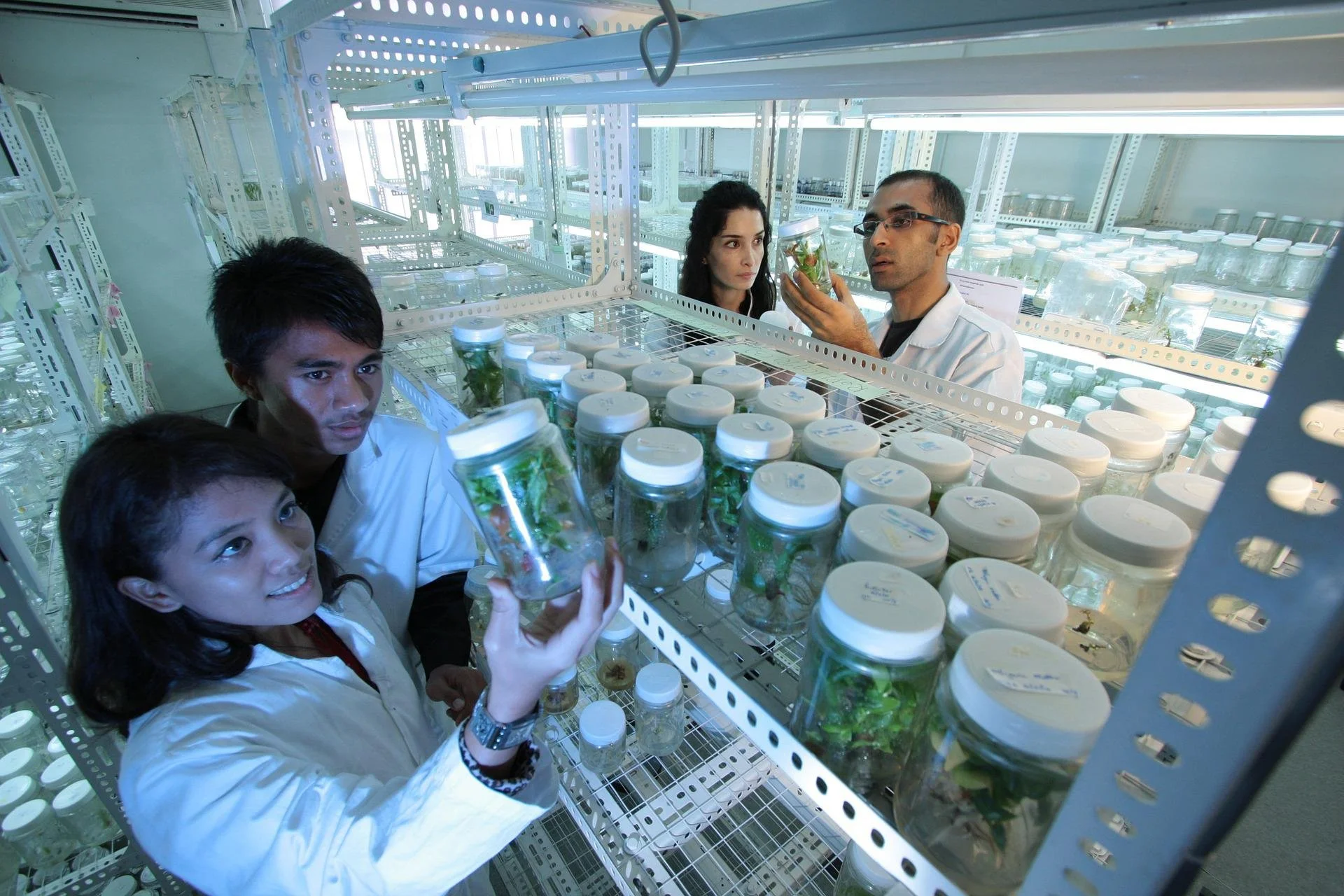 NZ must start recognising biotech for the future economy