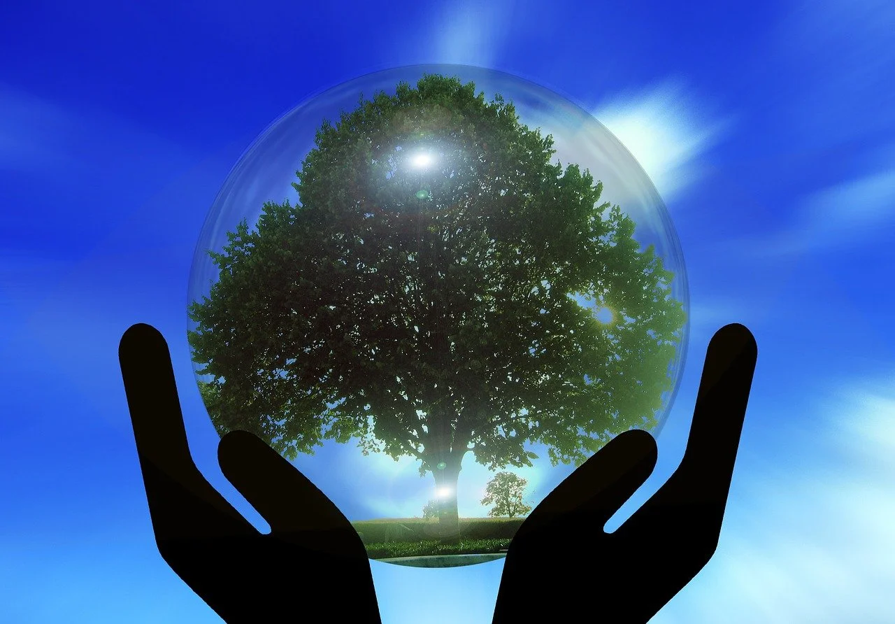 Greenhouse gases increasing but below pre-pandemic levels  