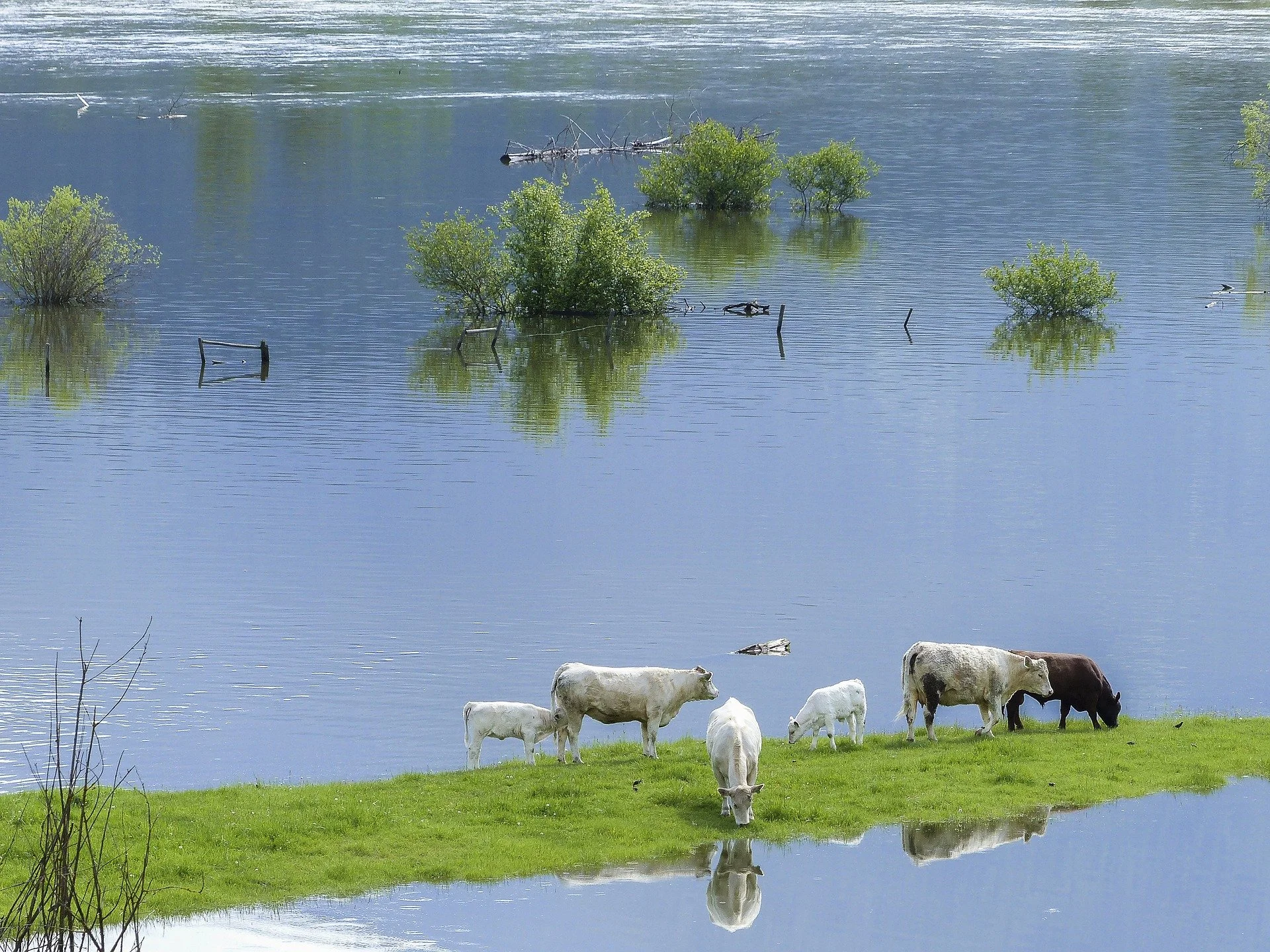 It’s raining, it’s pouring, ANZ report
