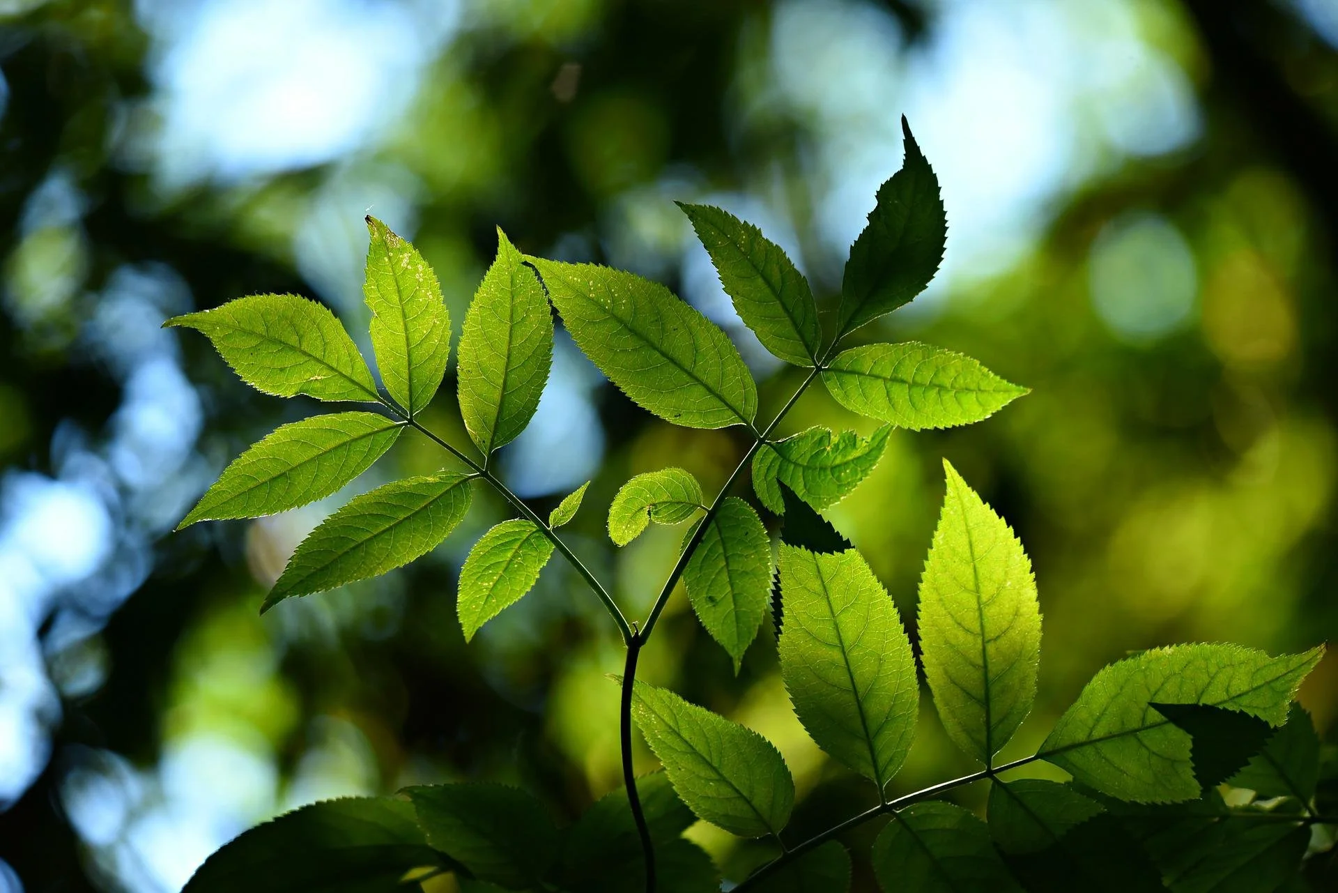 Lessons on conversion of CO2 to raw materials for plastic