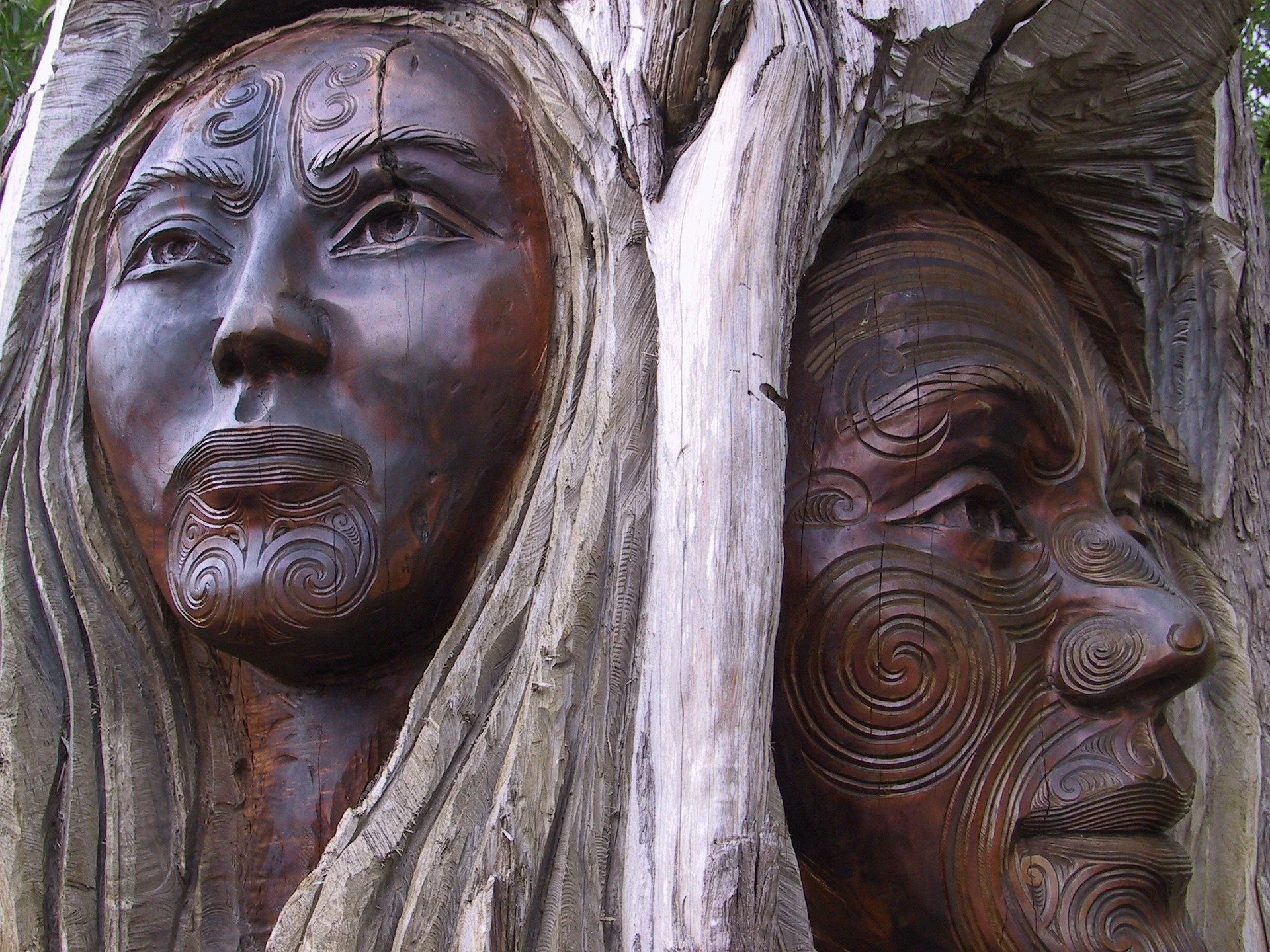 Māori economy preparing for climate action 