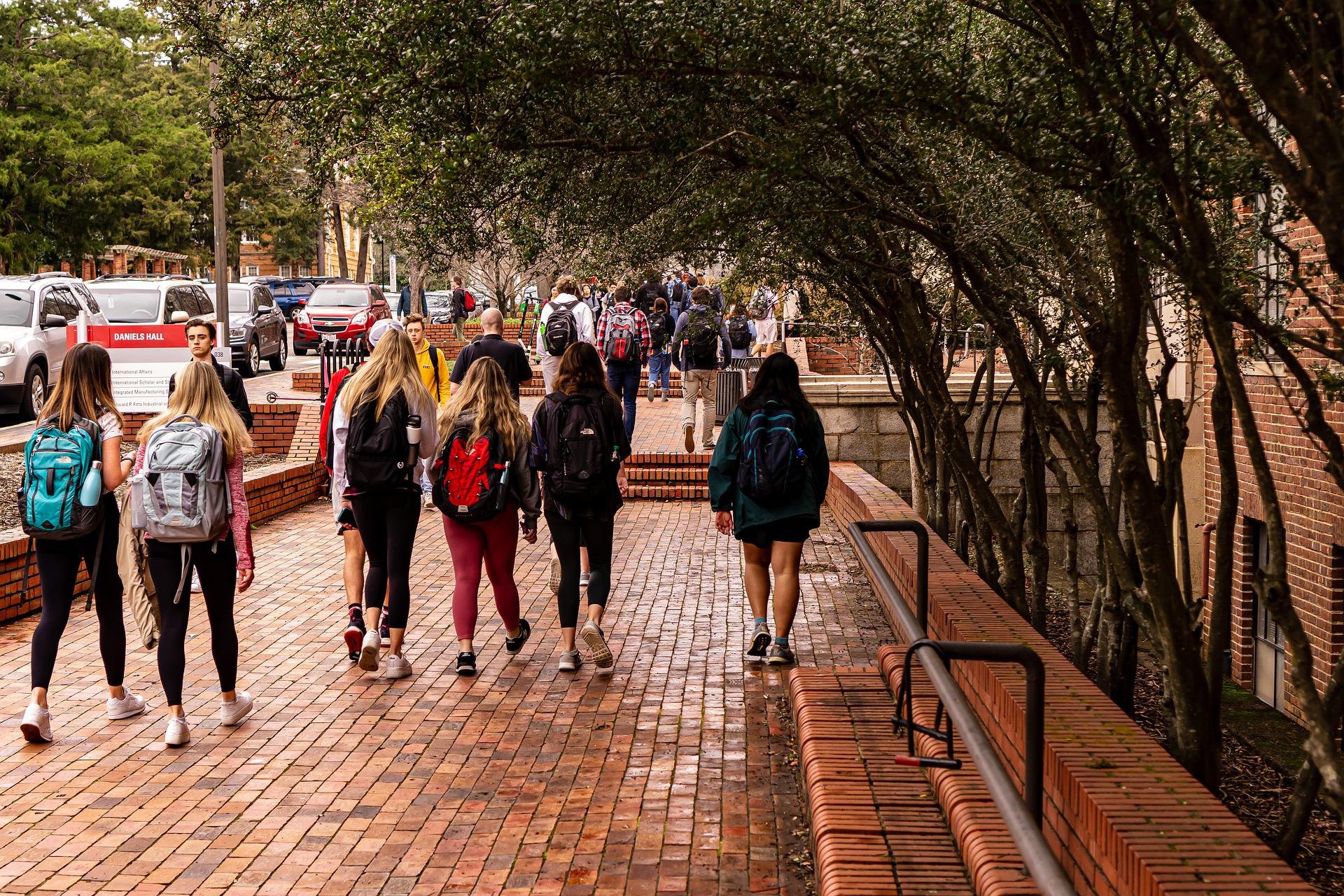 NZ unis call for free public transport for students 