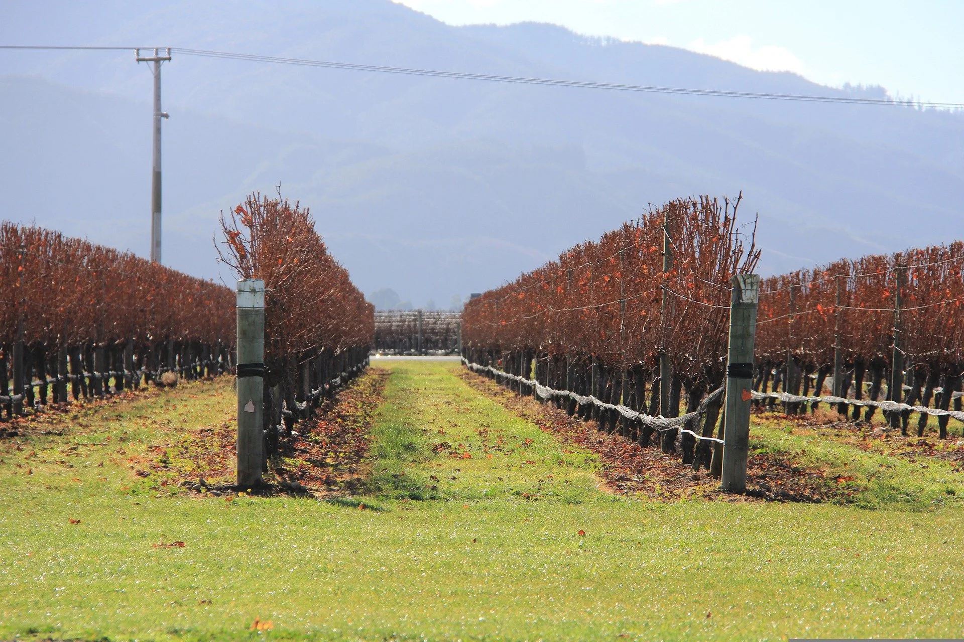 New Zealand’s first official wine centre open to the public