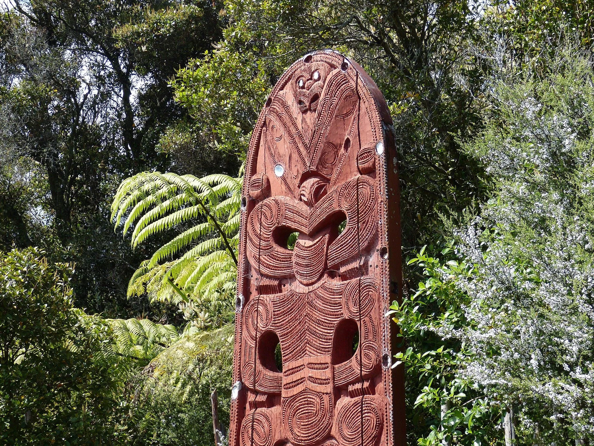 Ancient northern kauri tree forests to be protected 
