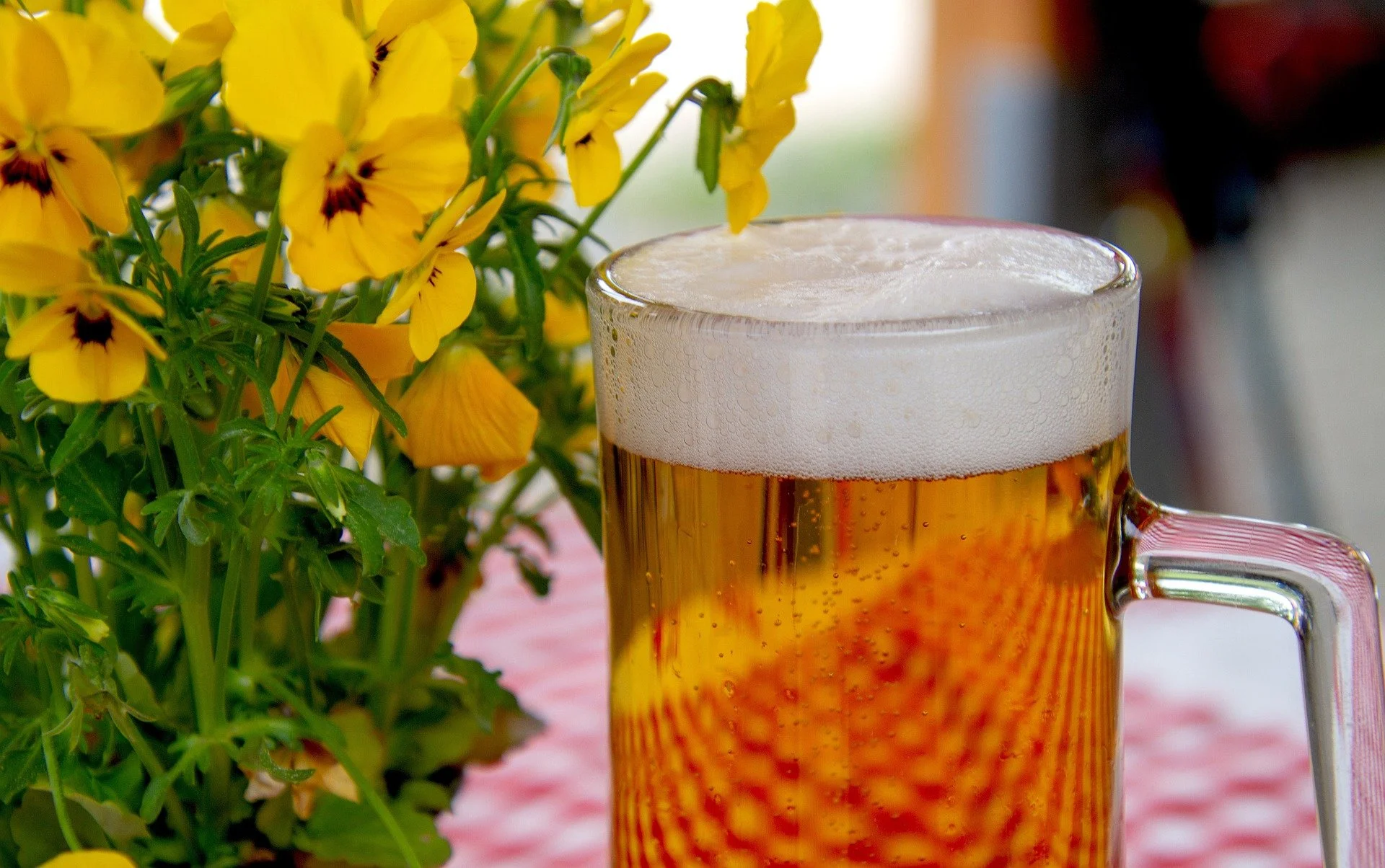 Beer from upcycled bread