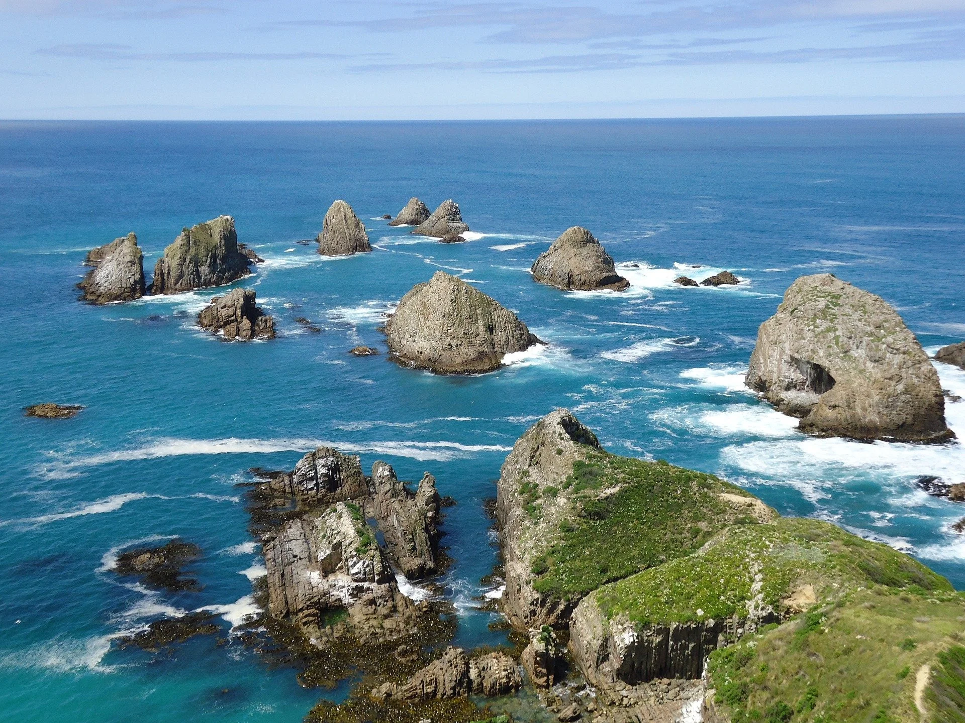 NZ’s marine environment deteriorating
