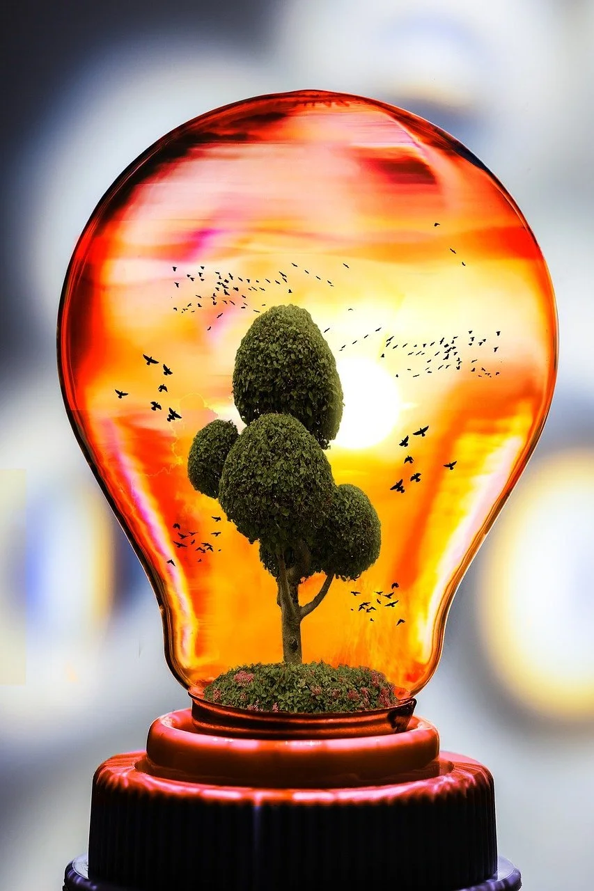 Aotearoa must be more energy-efficient