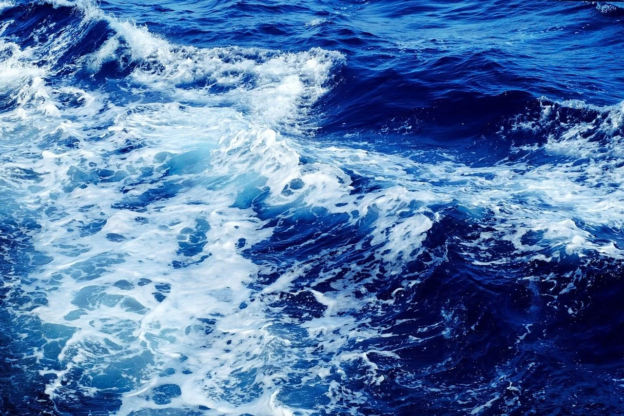 NZ backs moratorium on damaging sea mining