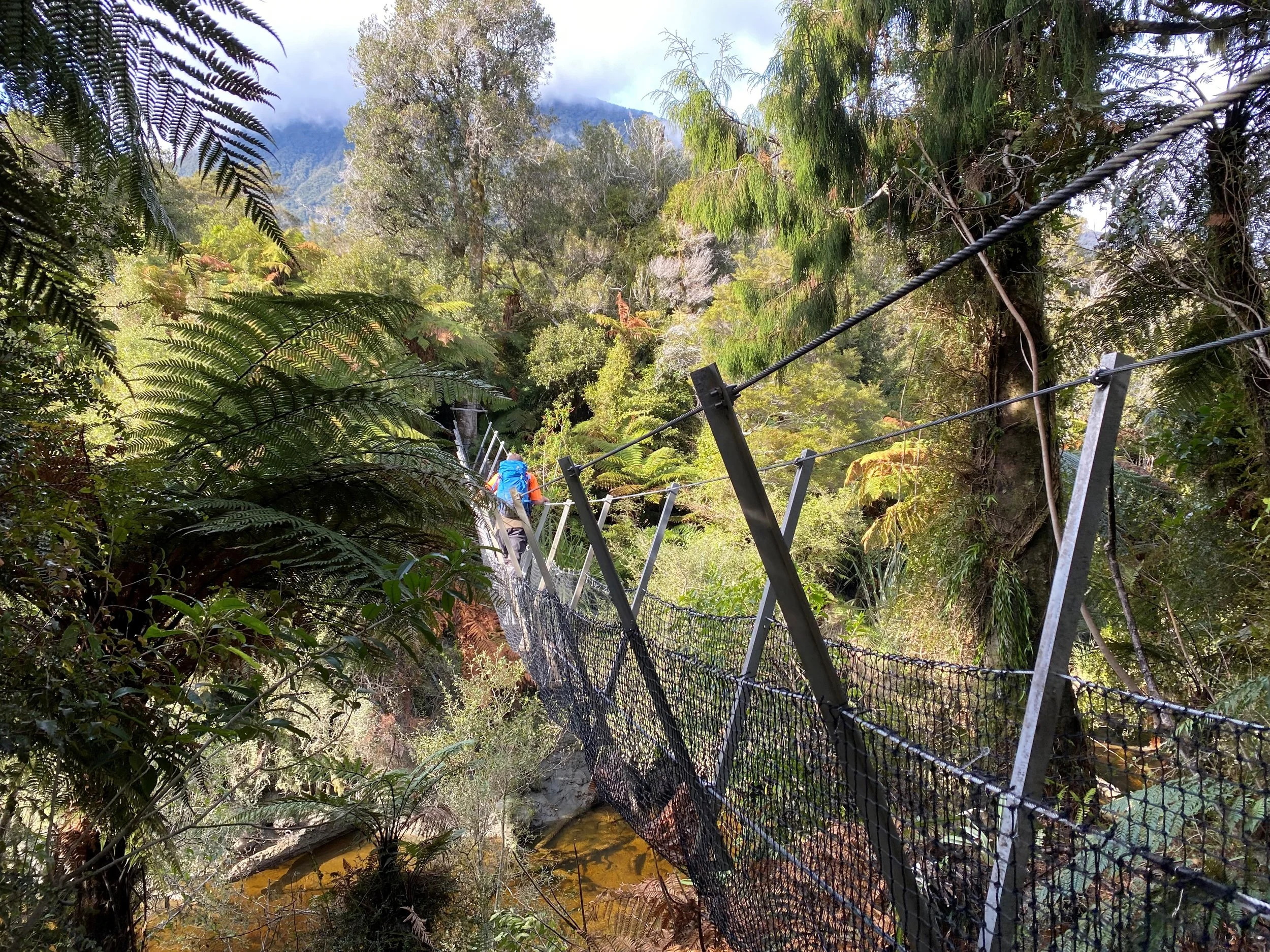 Nearly 1400 in hunt for one Haast job