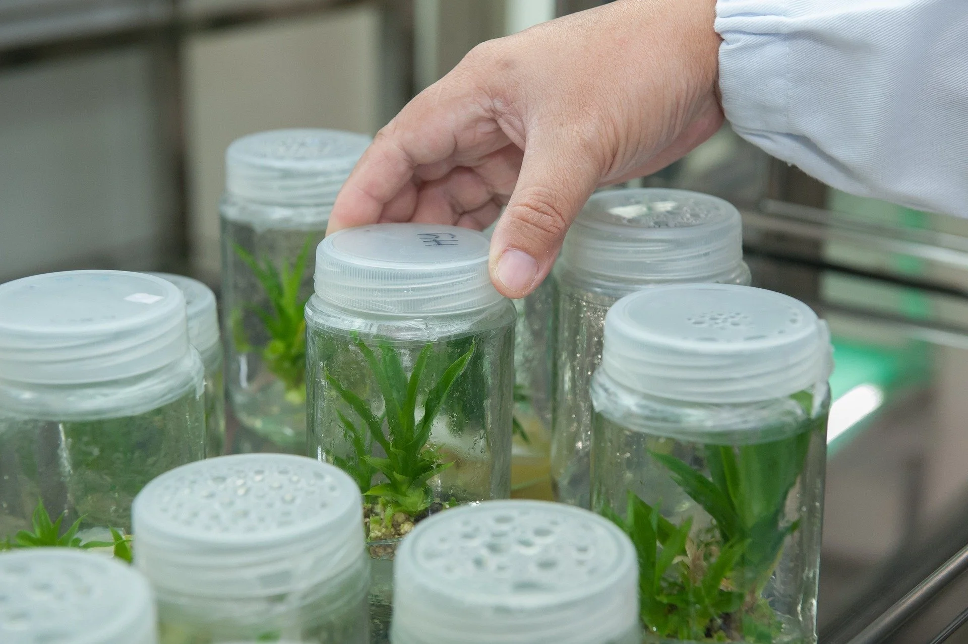 Life sciences summit crucial for NZ’s economic future