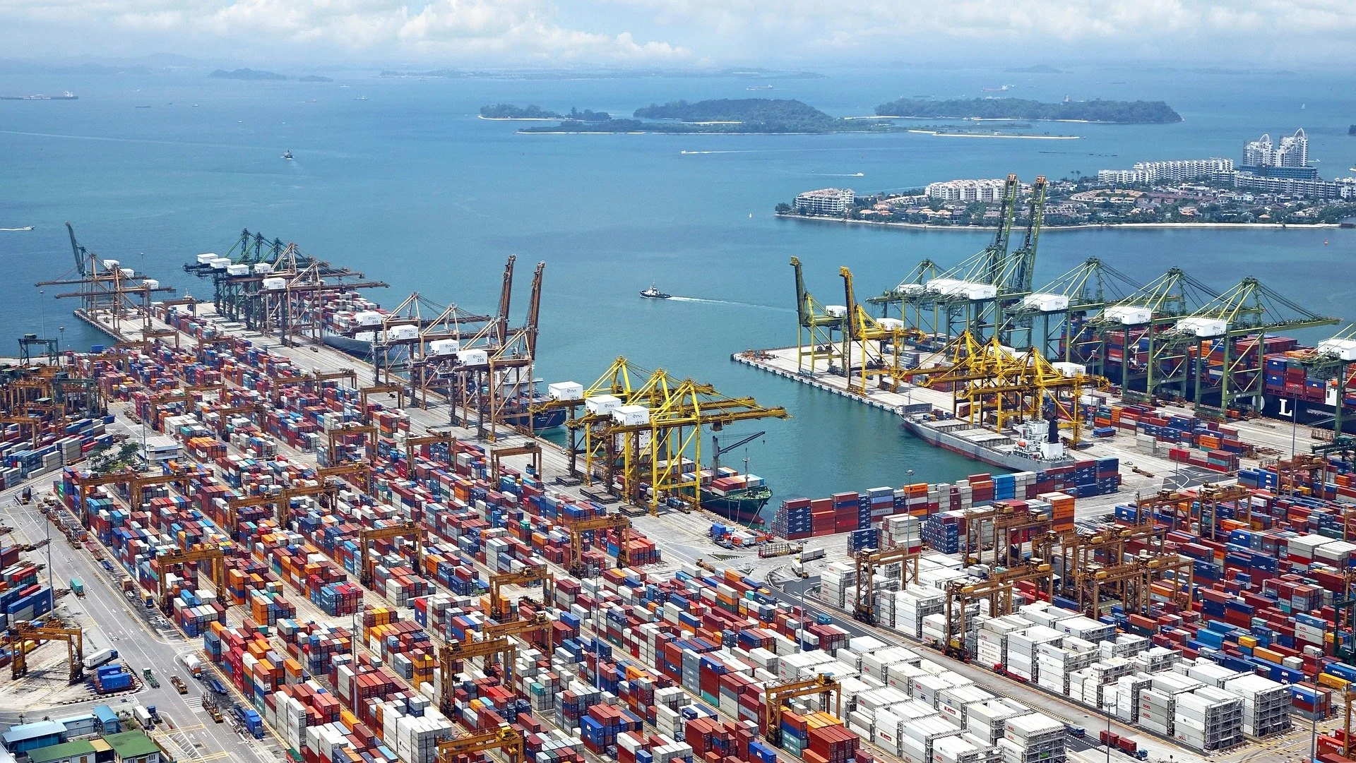 NZ exports tracking towards record high growth