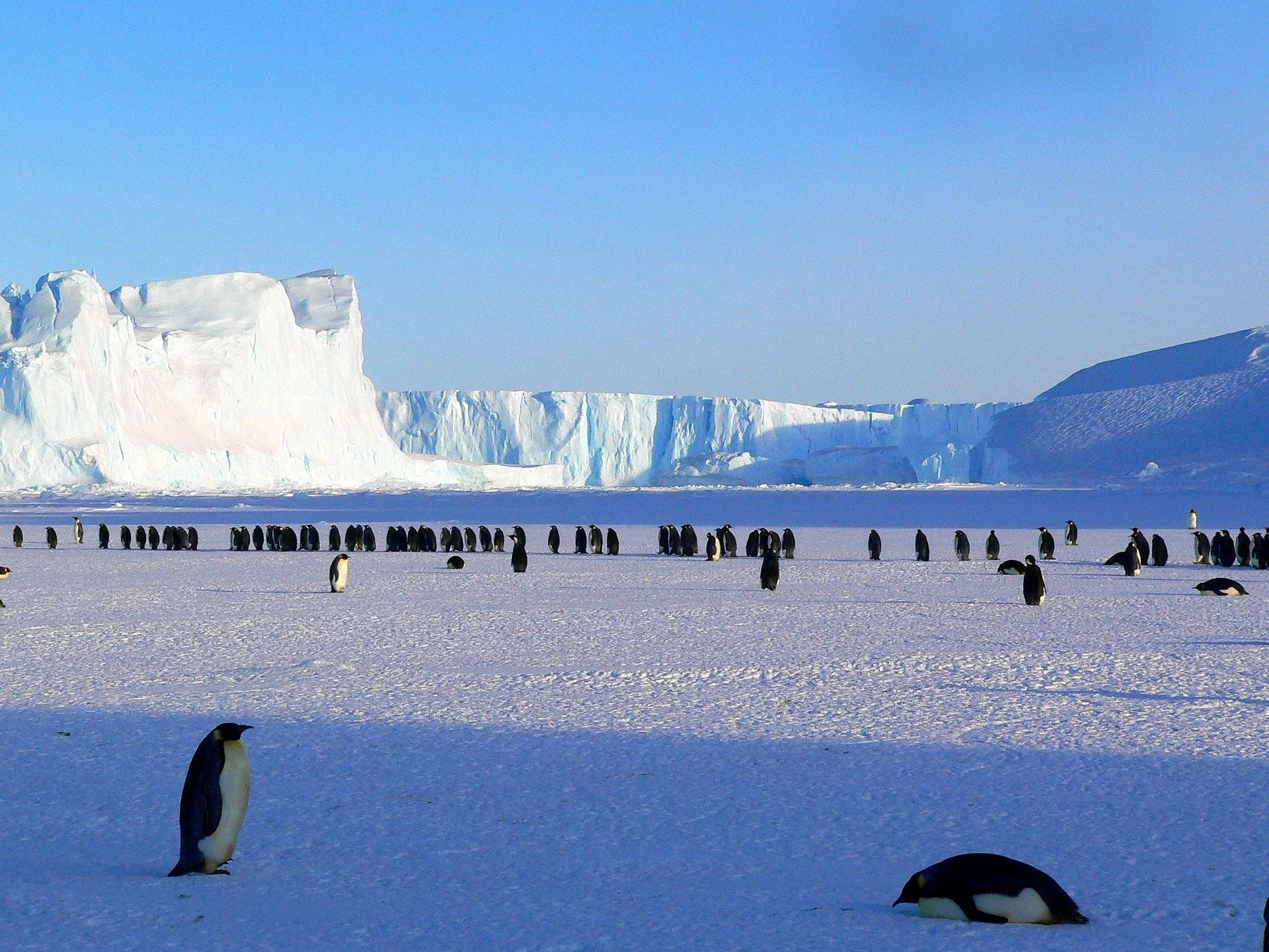 What of the growing impacts of climate change on Antarctica?
