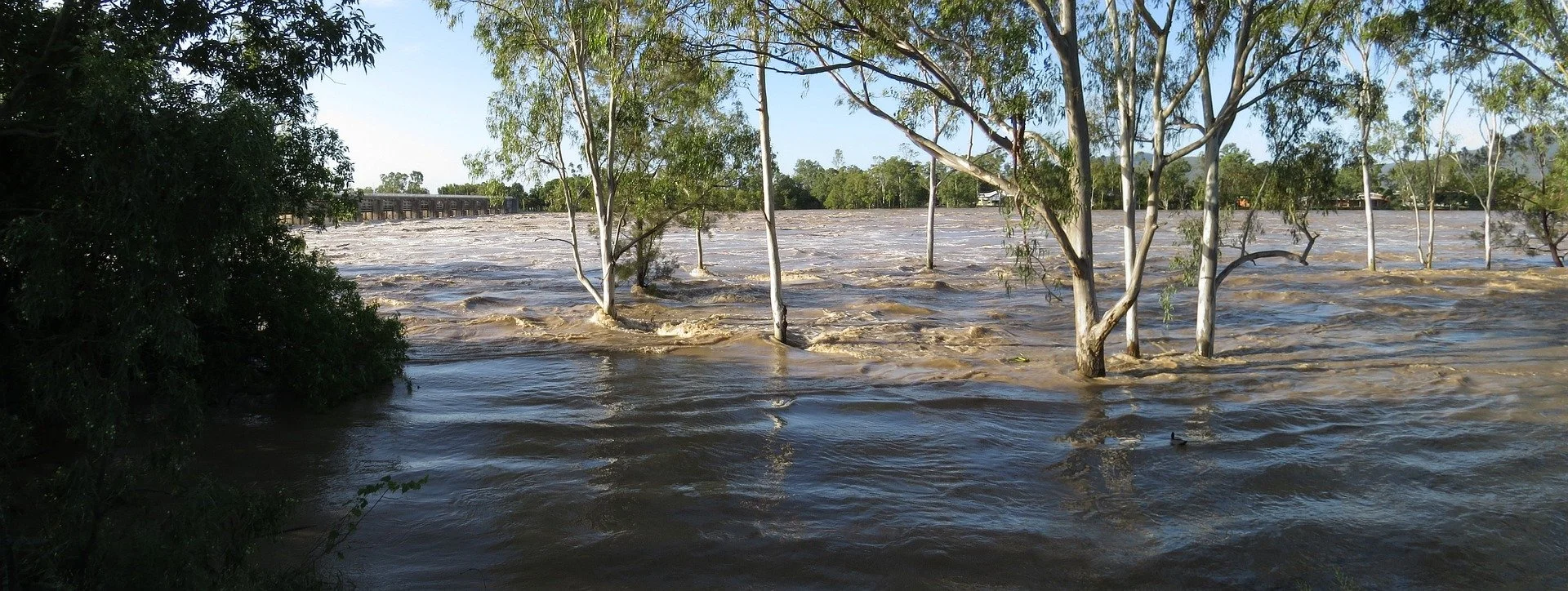 Inflationary risks from cyclone Gabrielle, new report