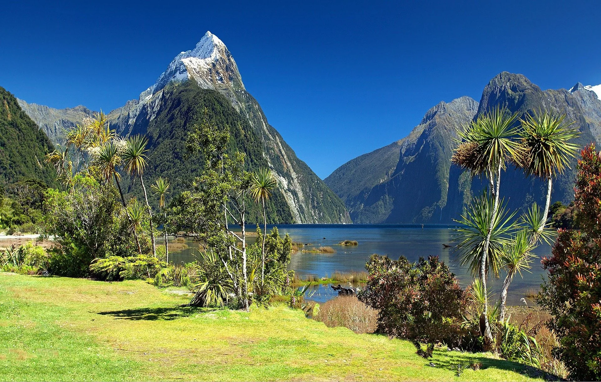 Fly a plane around NZ without a licence