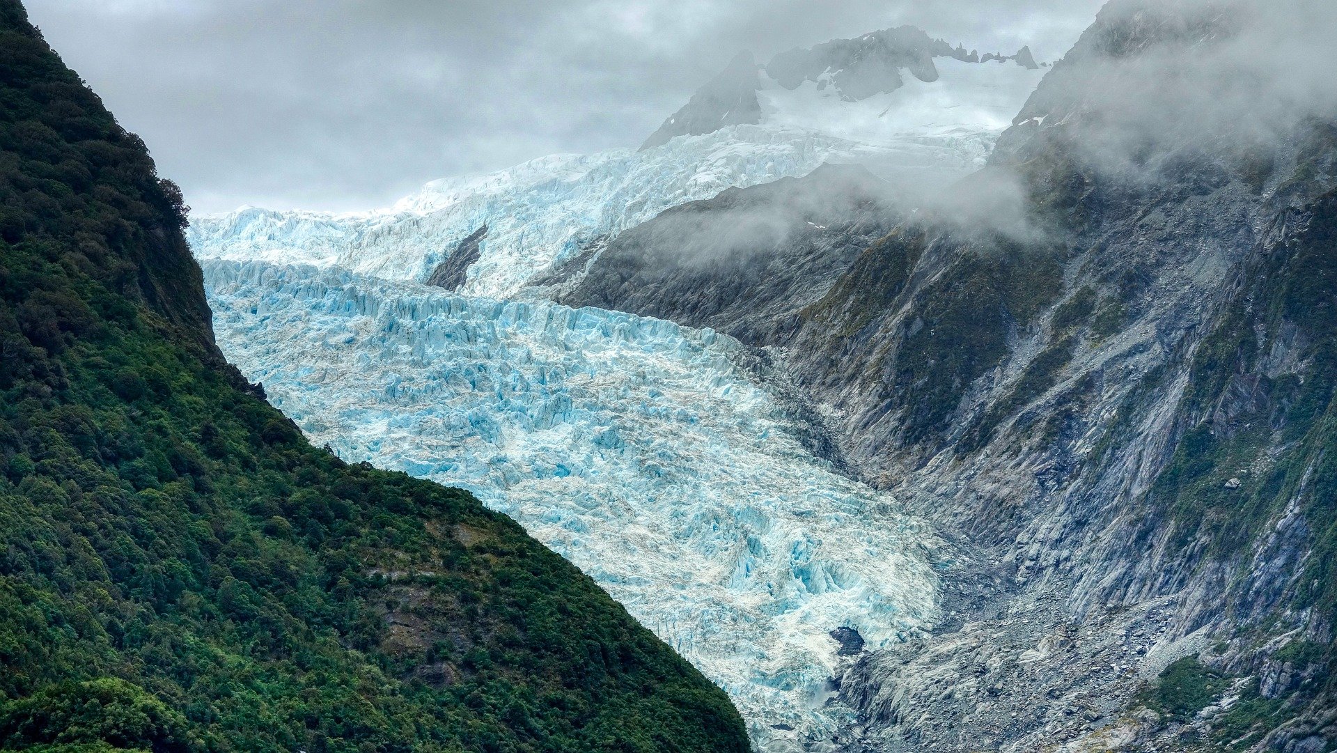 New Zealand fifth most vegan country in the world