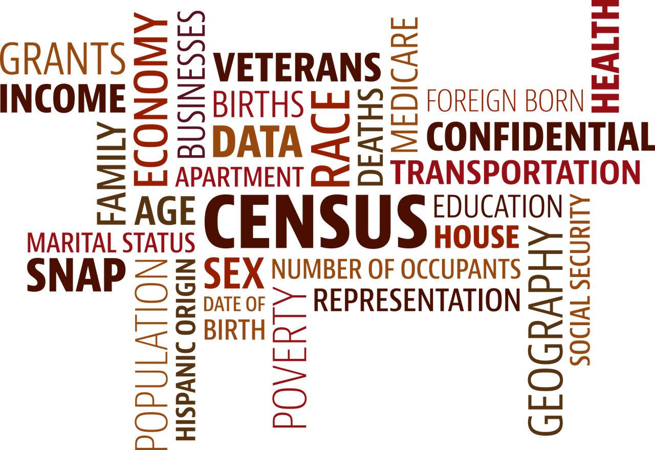 2023 Census: keep an eye out for fakes