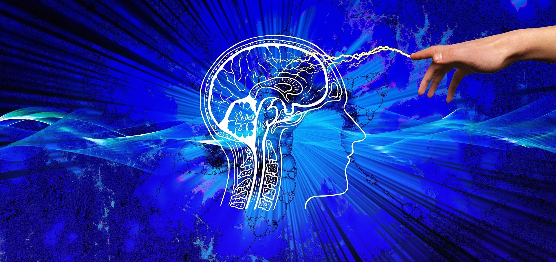 Will future computers run on human brain cells?