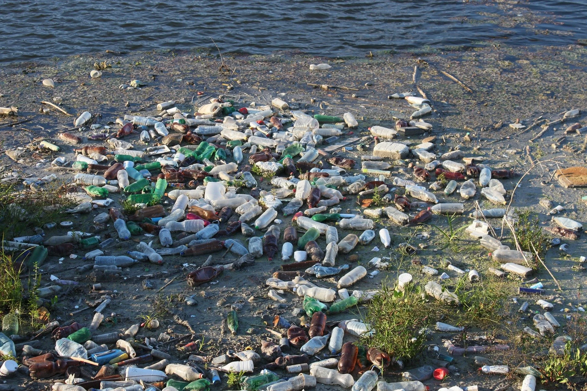 Dumping returns scheme not best for Aotearoa, Zero Waste says