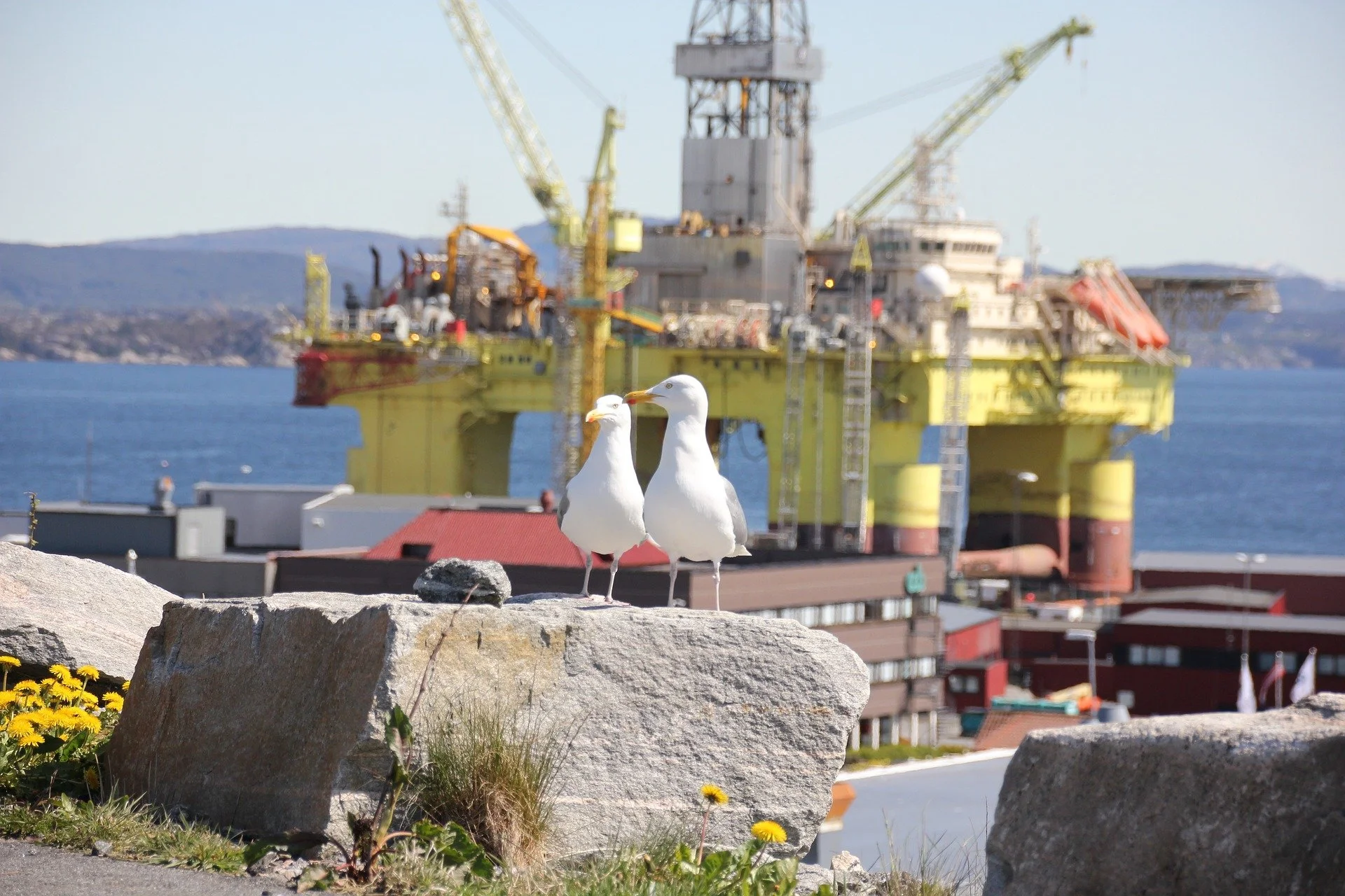 Court sentencing of omv oil rig activists 