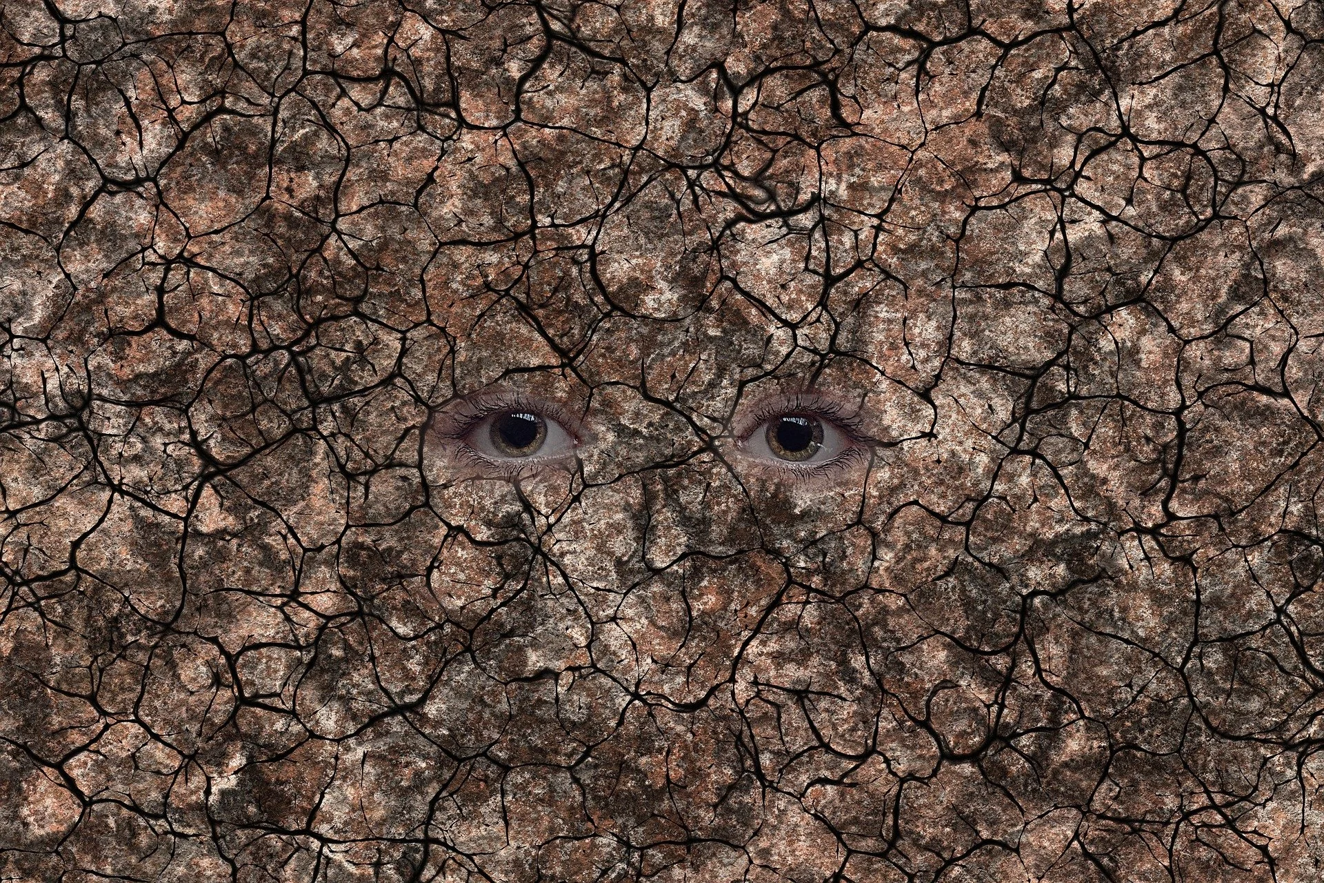 Water, the lifeblood of humanity, is a serious global issue