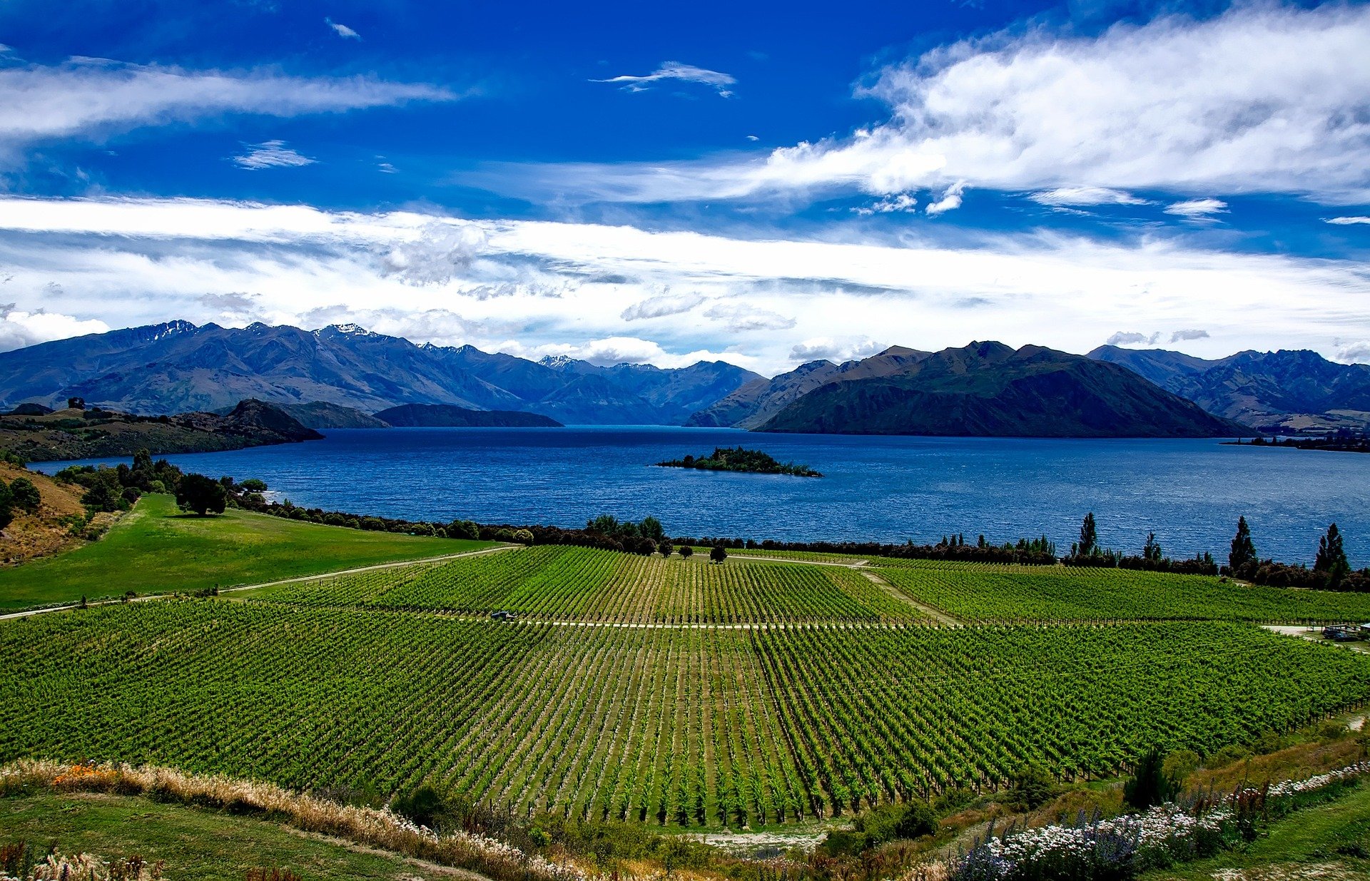 NZ one of few island nations with enough food