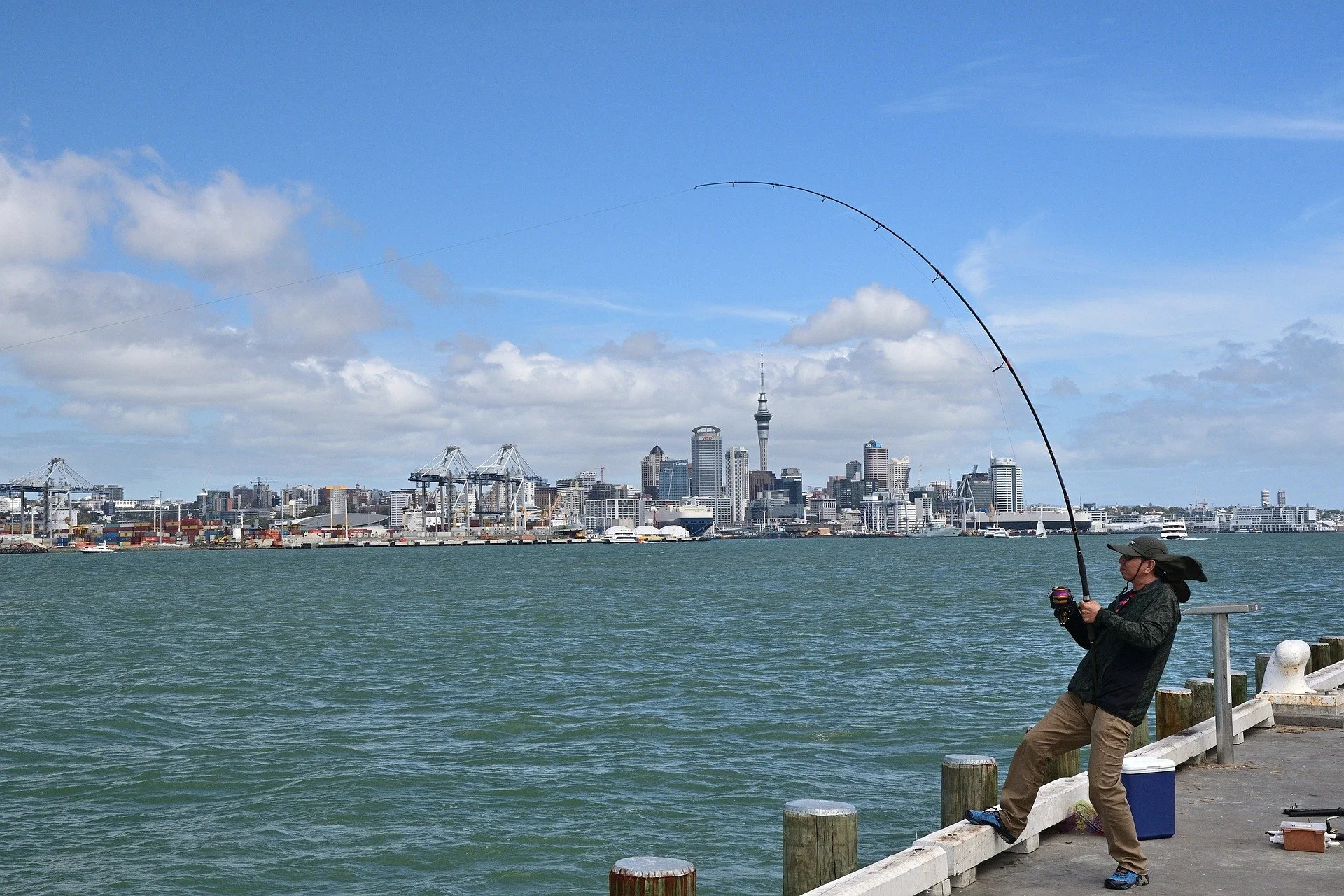Will Aotearoa’s commercial fish stocks soon start dwindling?