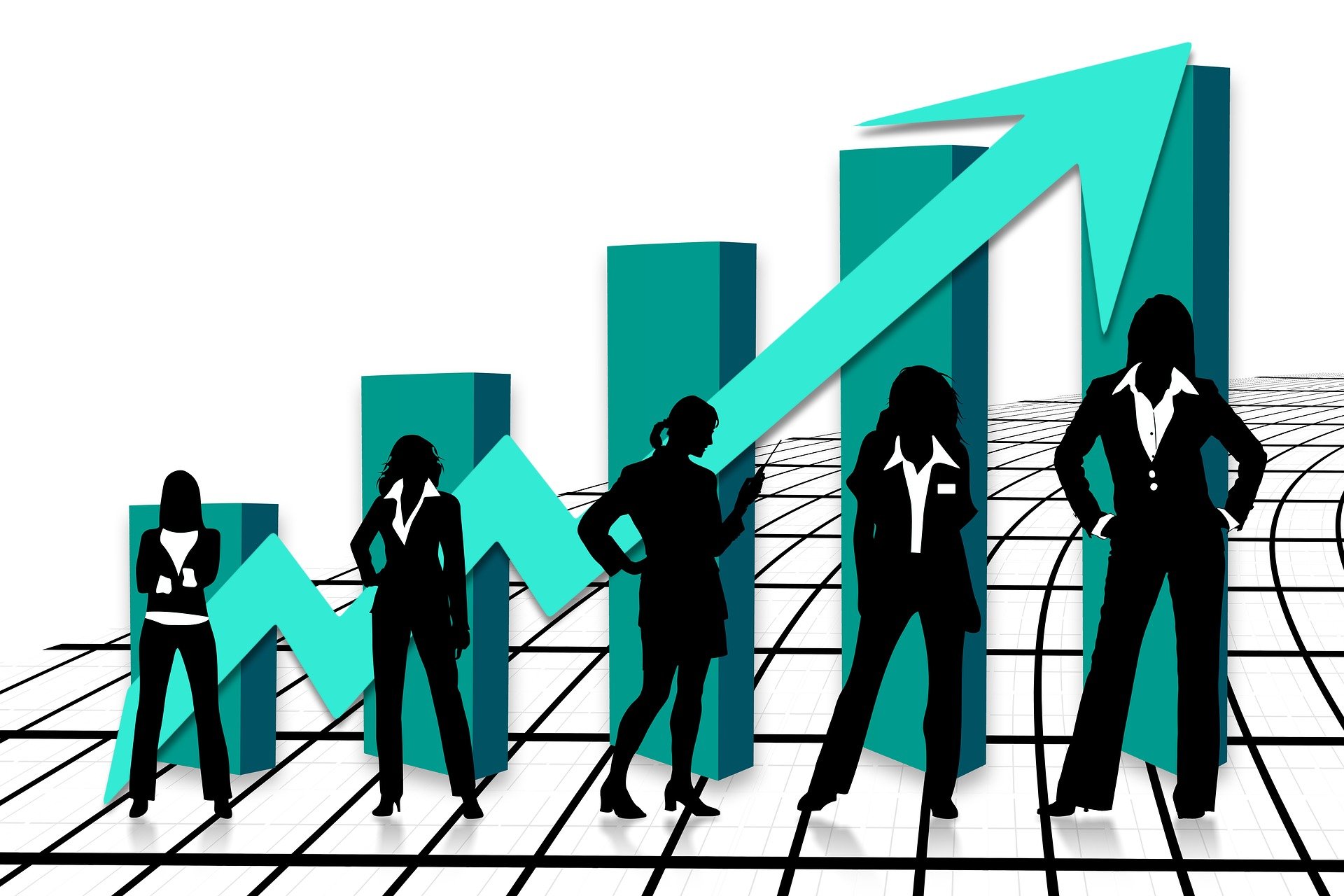 Want to be a chief executive or judge $$$$$$?