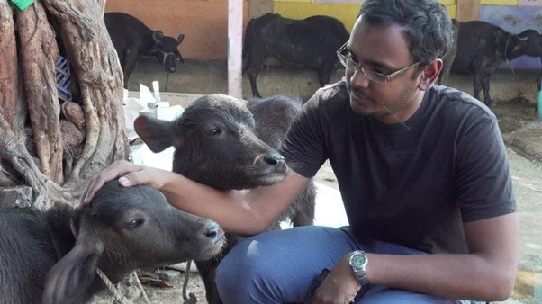 Indian vegan milk India has its own sanctuary