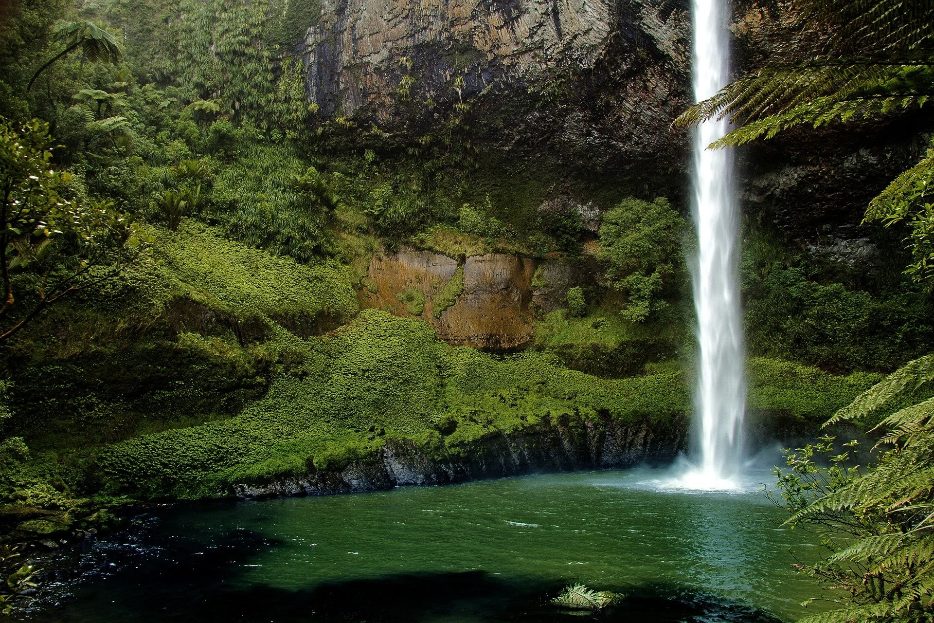 New report highlights pressures on Aotearoa freshwater