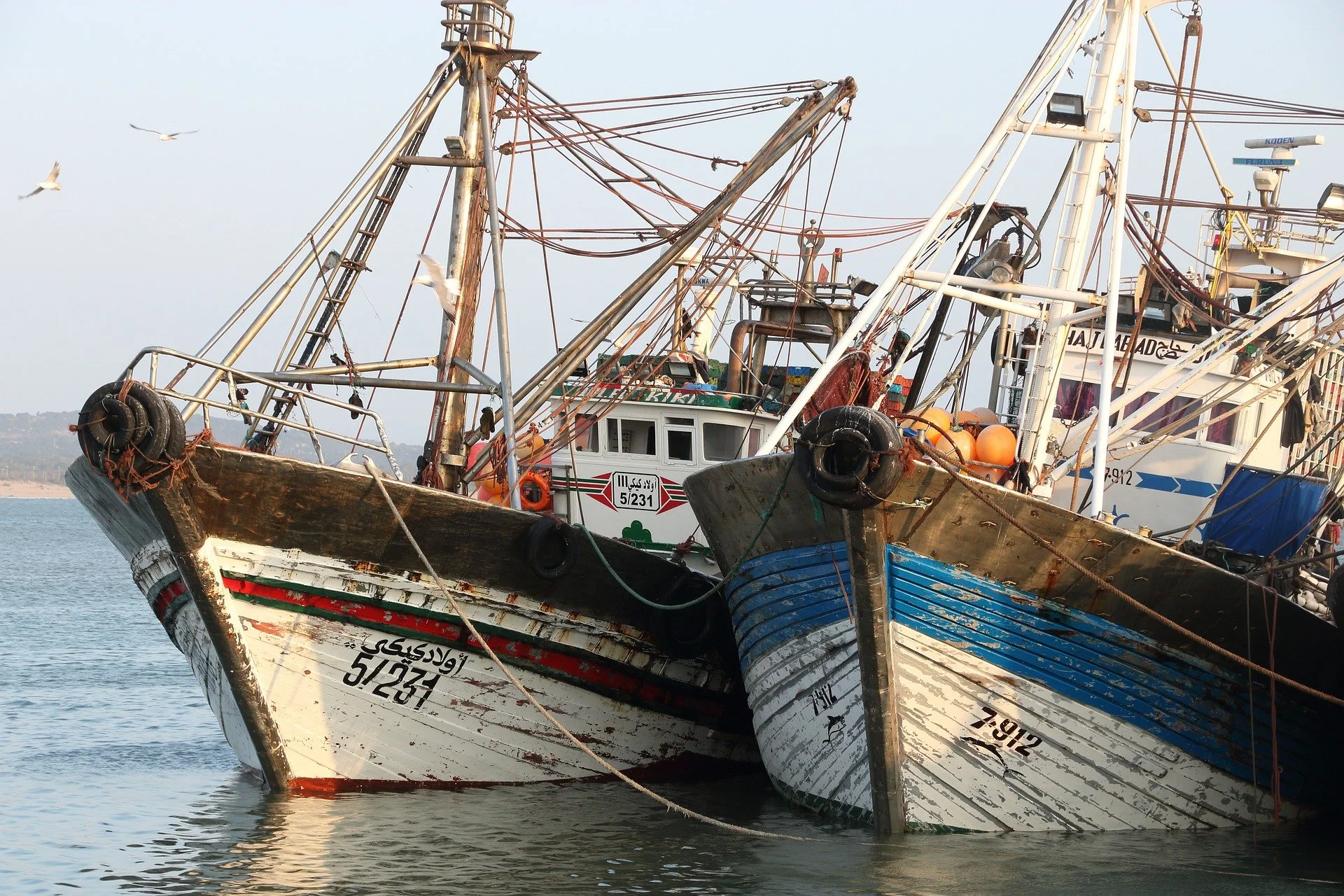 Consultation opens on plan to transform NZ’s fishing sector