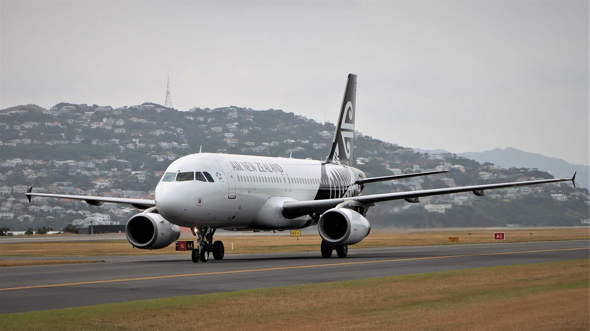 Grounded by greenwashing, green claims on Air NZ compostable cups