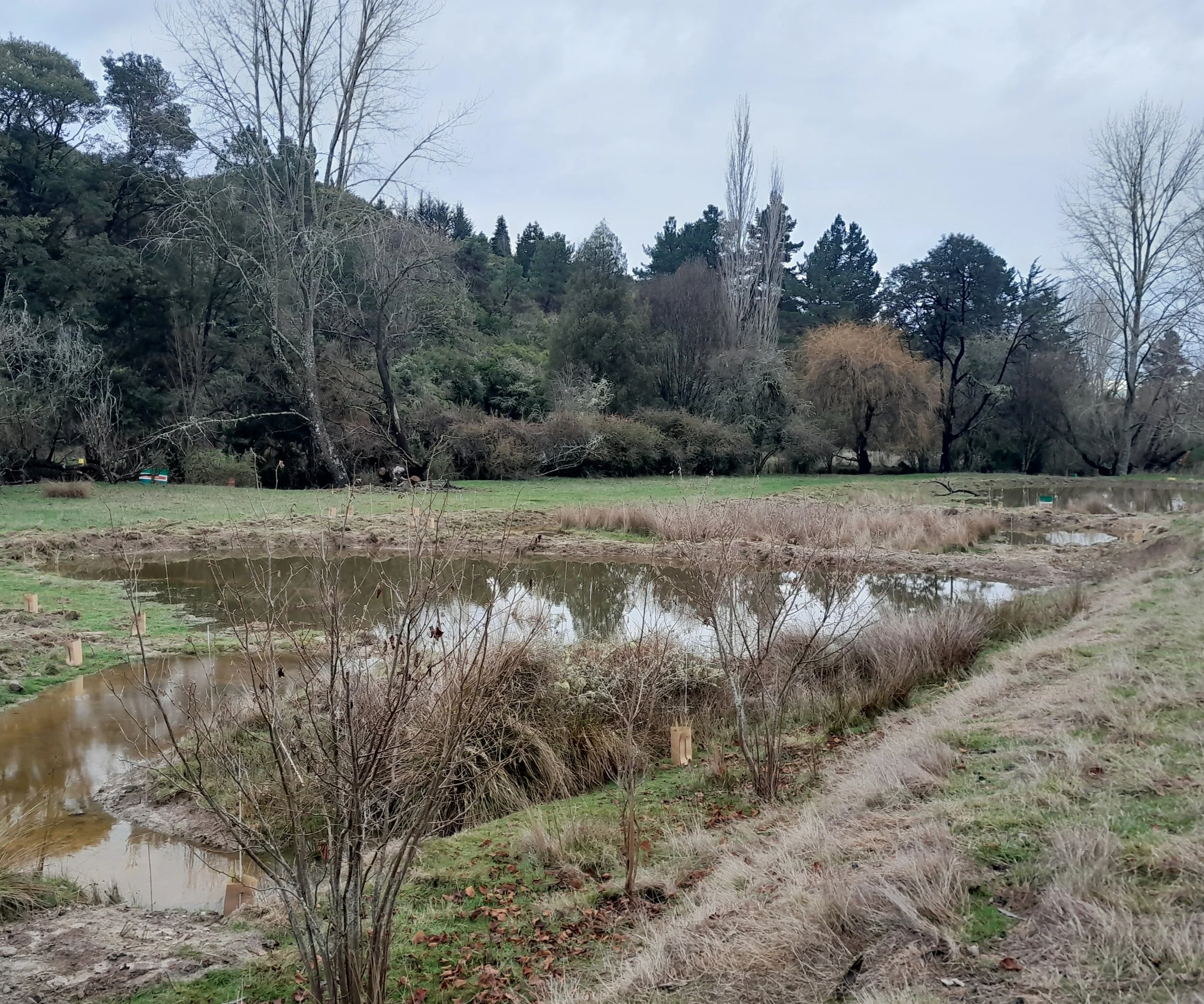 Small-scale wetlands making a big difference, says Fish &amp; Game
