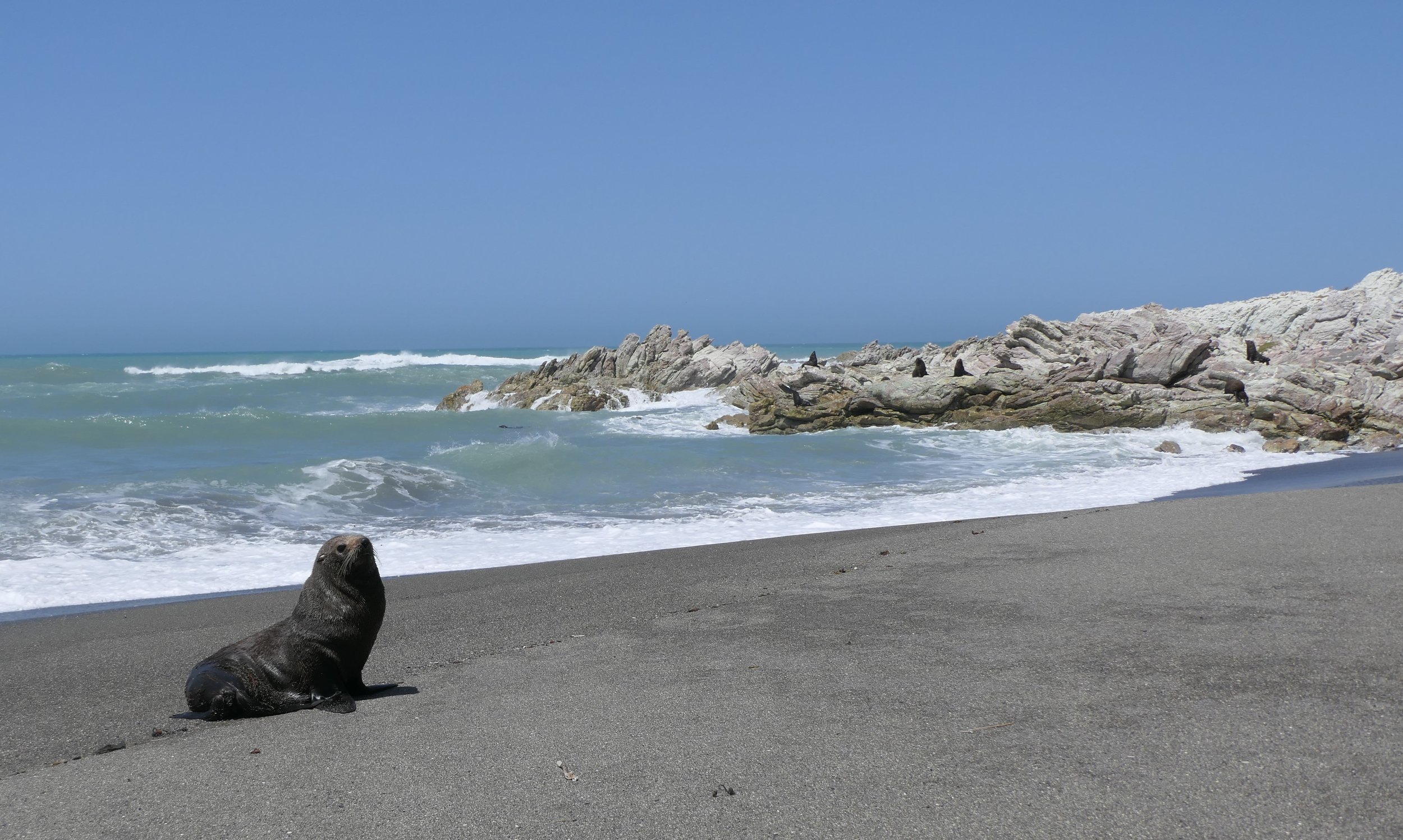 Council welcomes High Court decision on East Coast Beach Vehicle Bylaw 