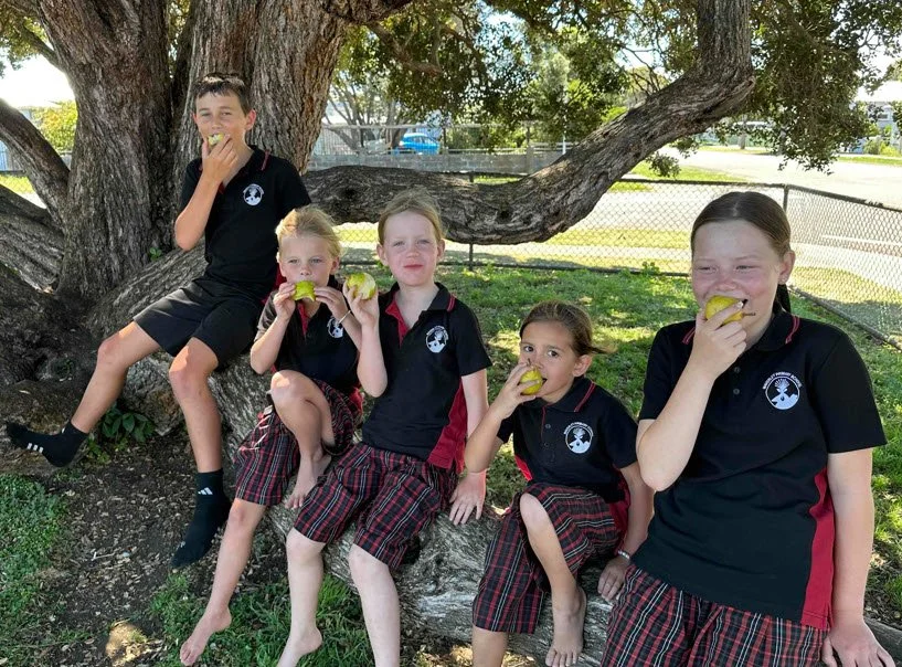 Fresh Fruit Programme Essential for Kiwi Kids as Food Insecurity Grows