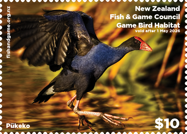 Photo Competition opens for 2027 Game Bird Habitat Stamp
