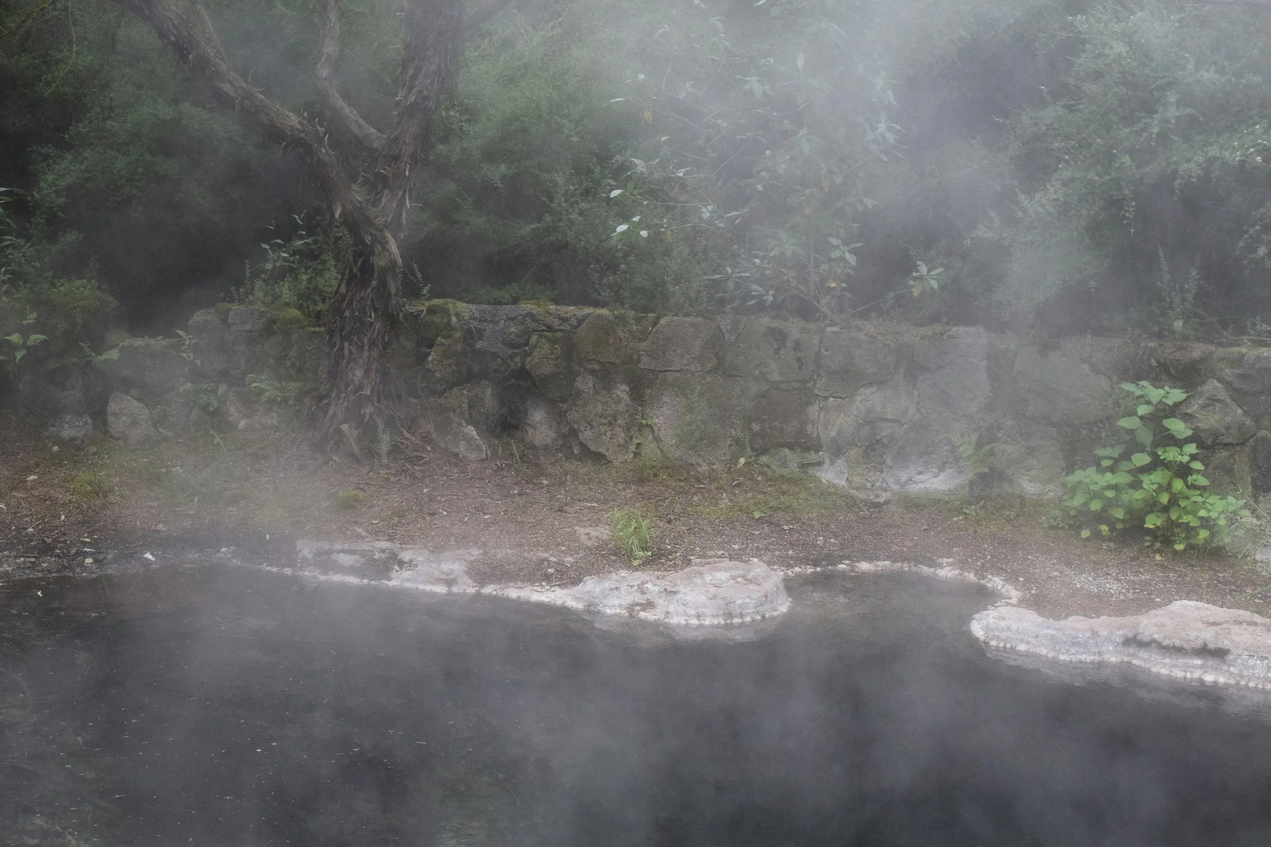 Rotorua bucks national trends with growth across key economic indicators