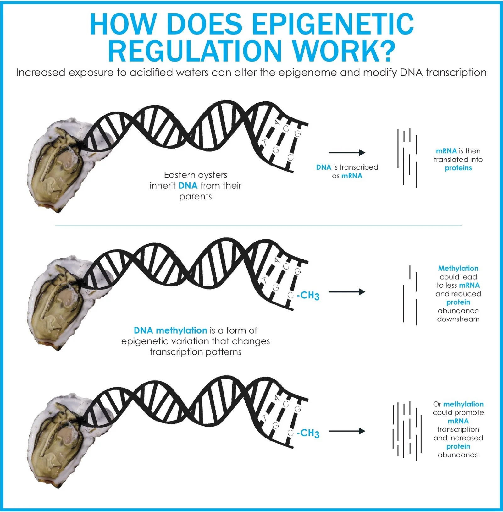 engage_genes.jpeg